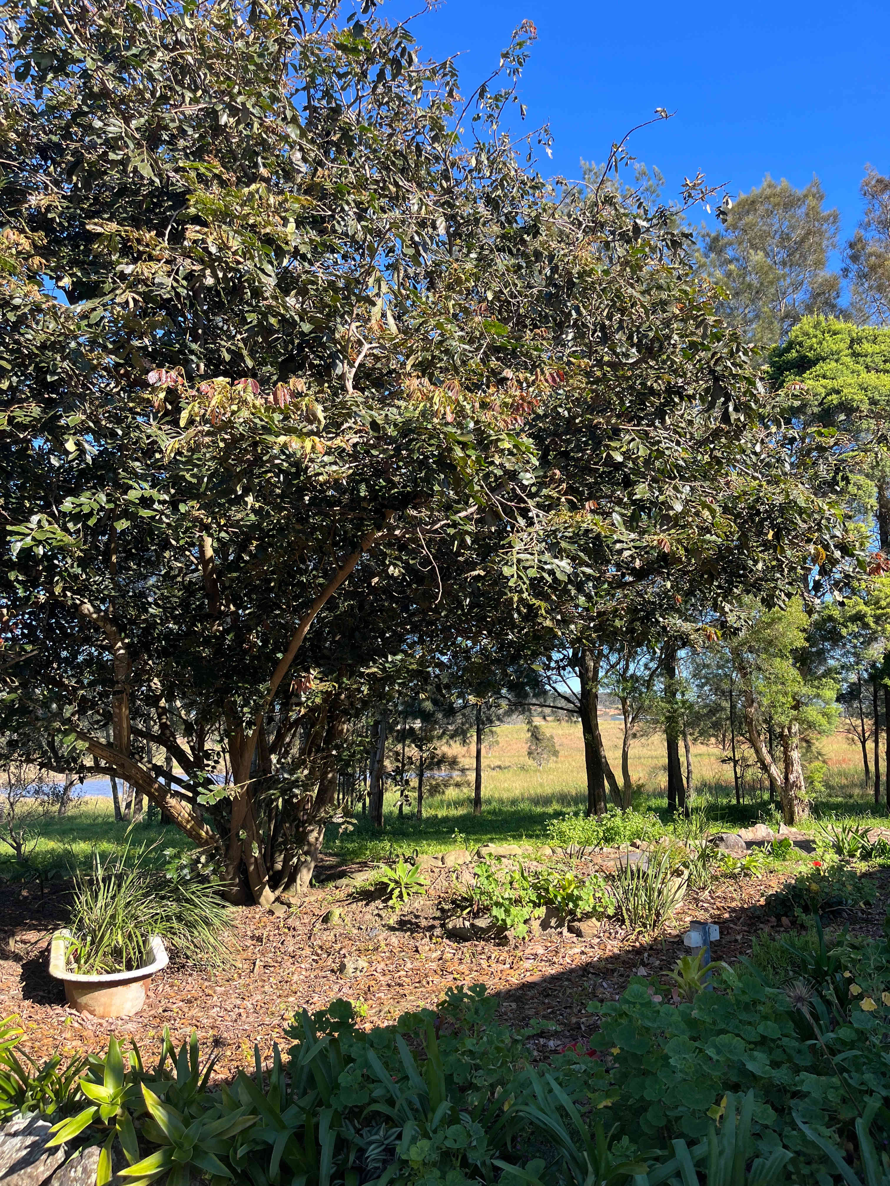 The Branch River Retreat