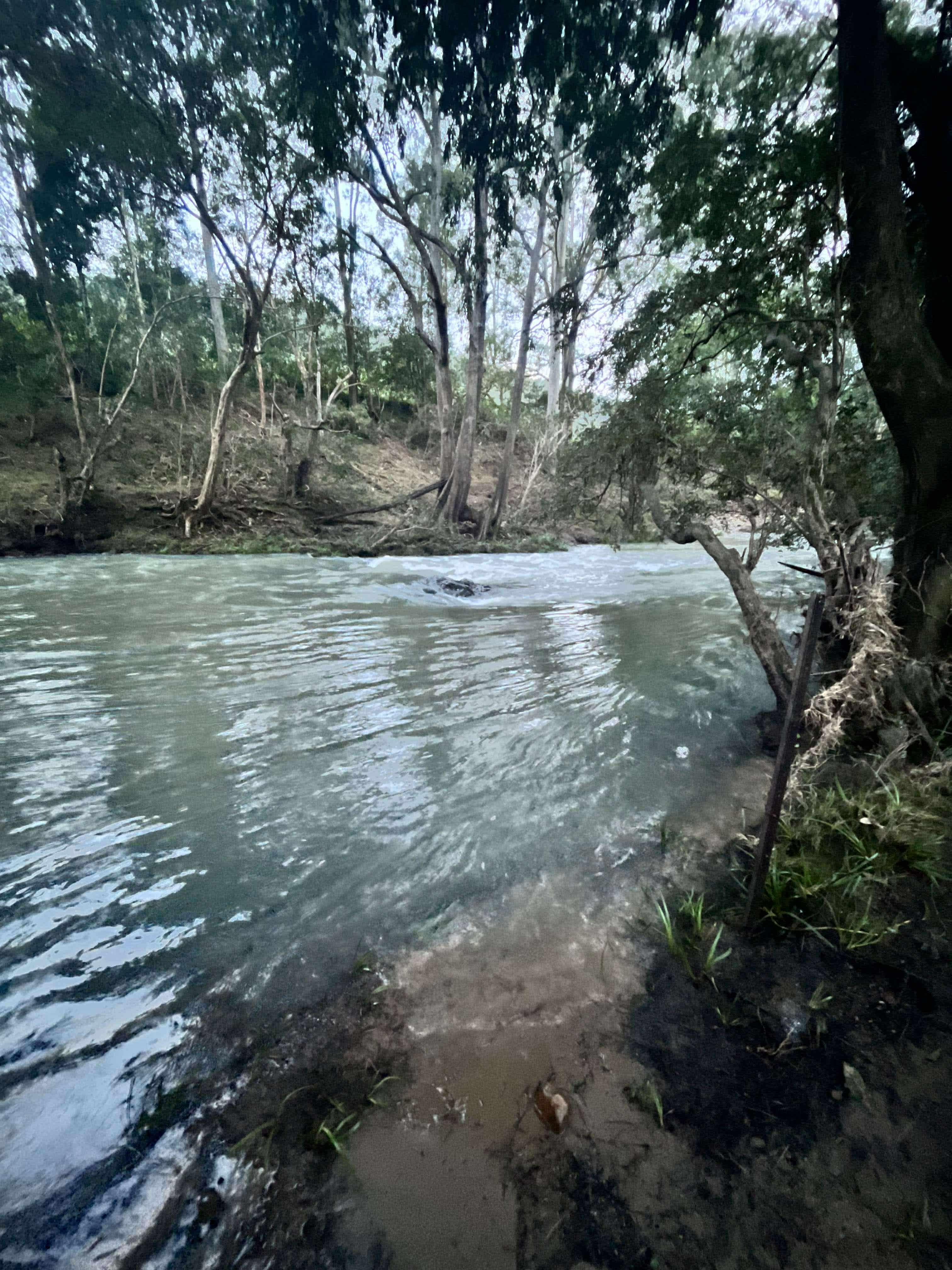 “She Oaks” river spot 
