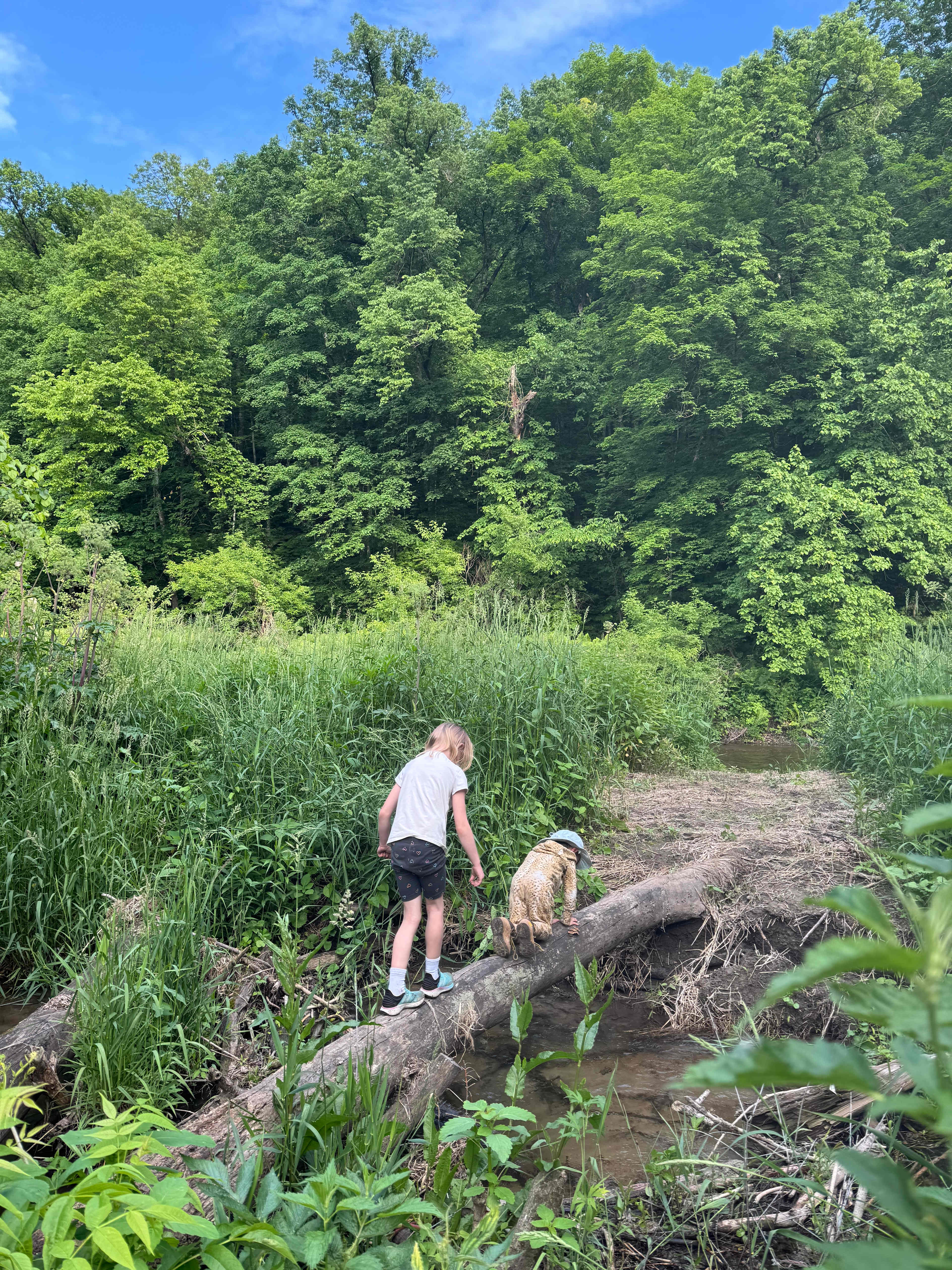 Belle Creek Bluff