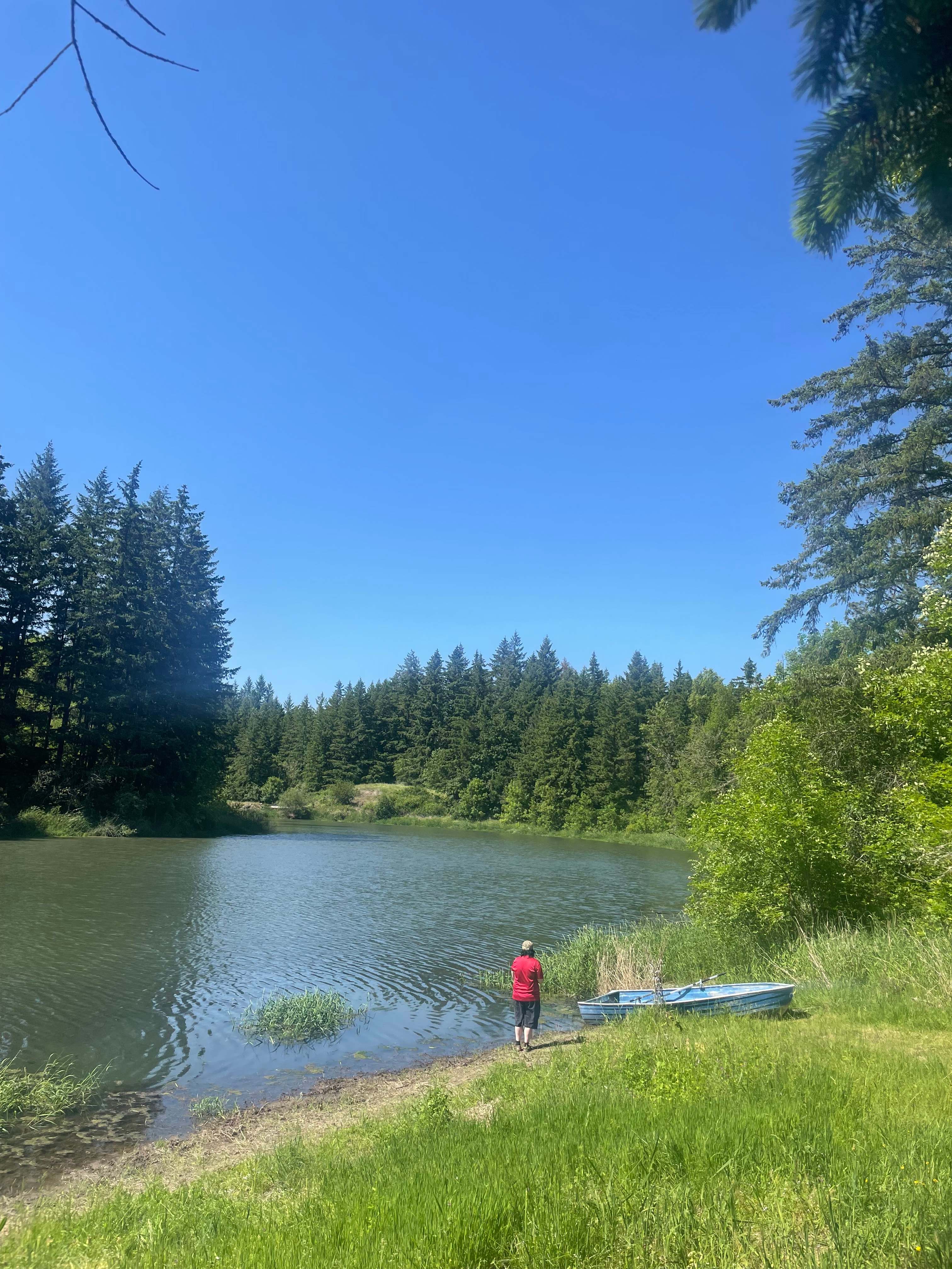 Luna Lake Vineyard Camp