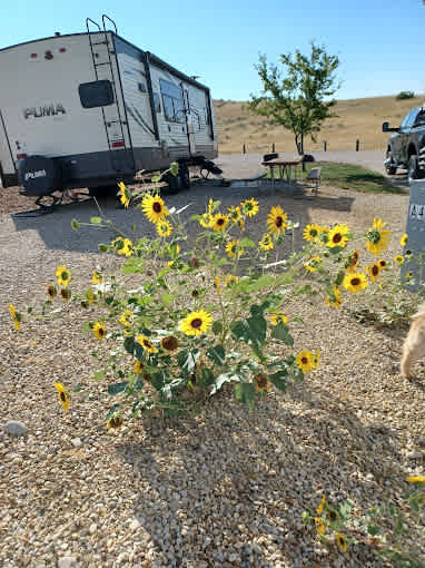 Seventh Ranch RV Camp
