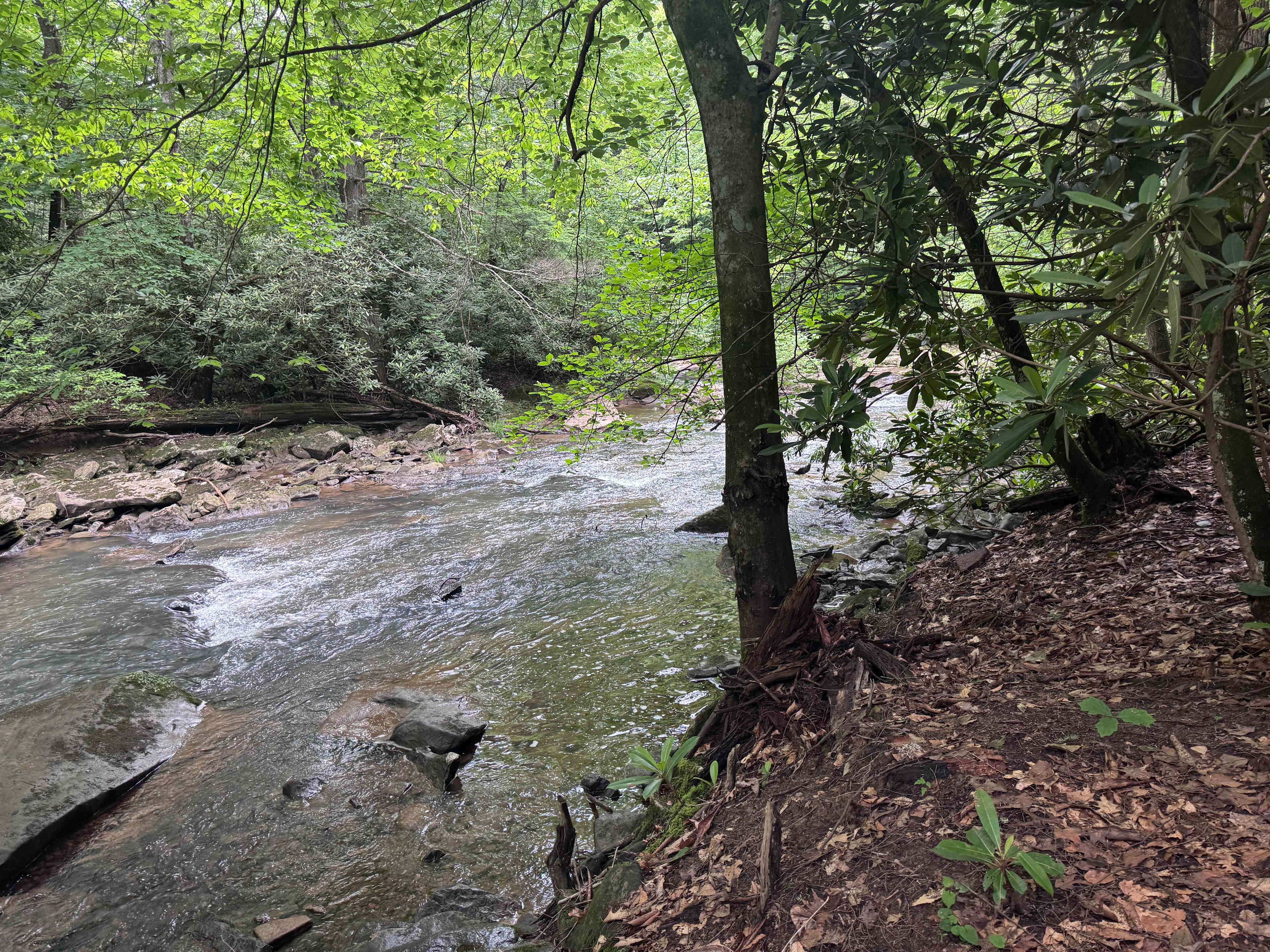 Possum Holler Camp- New River Gorge