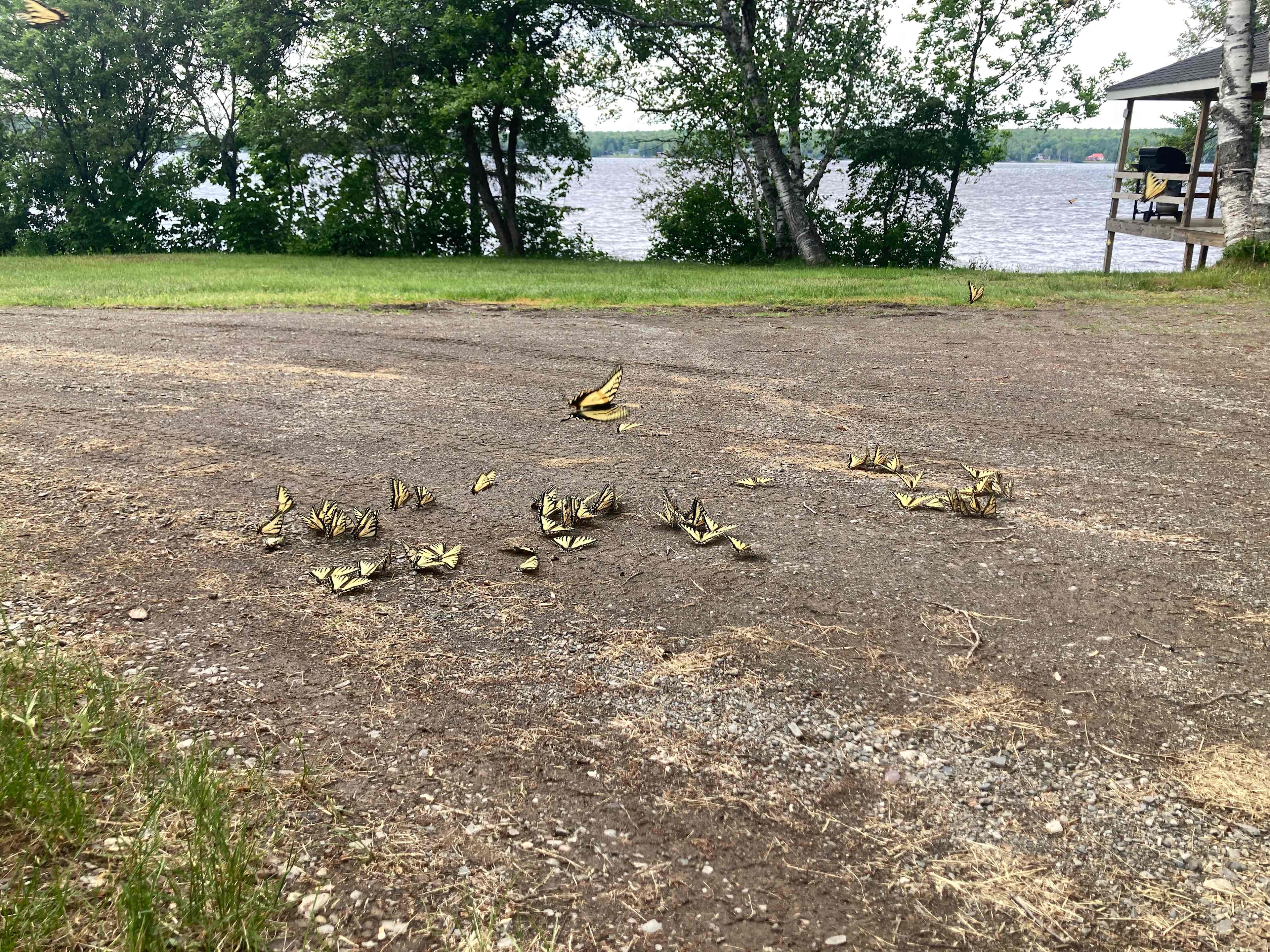 Portage Lakeside Cabins