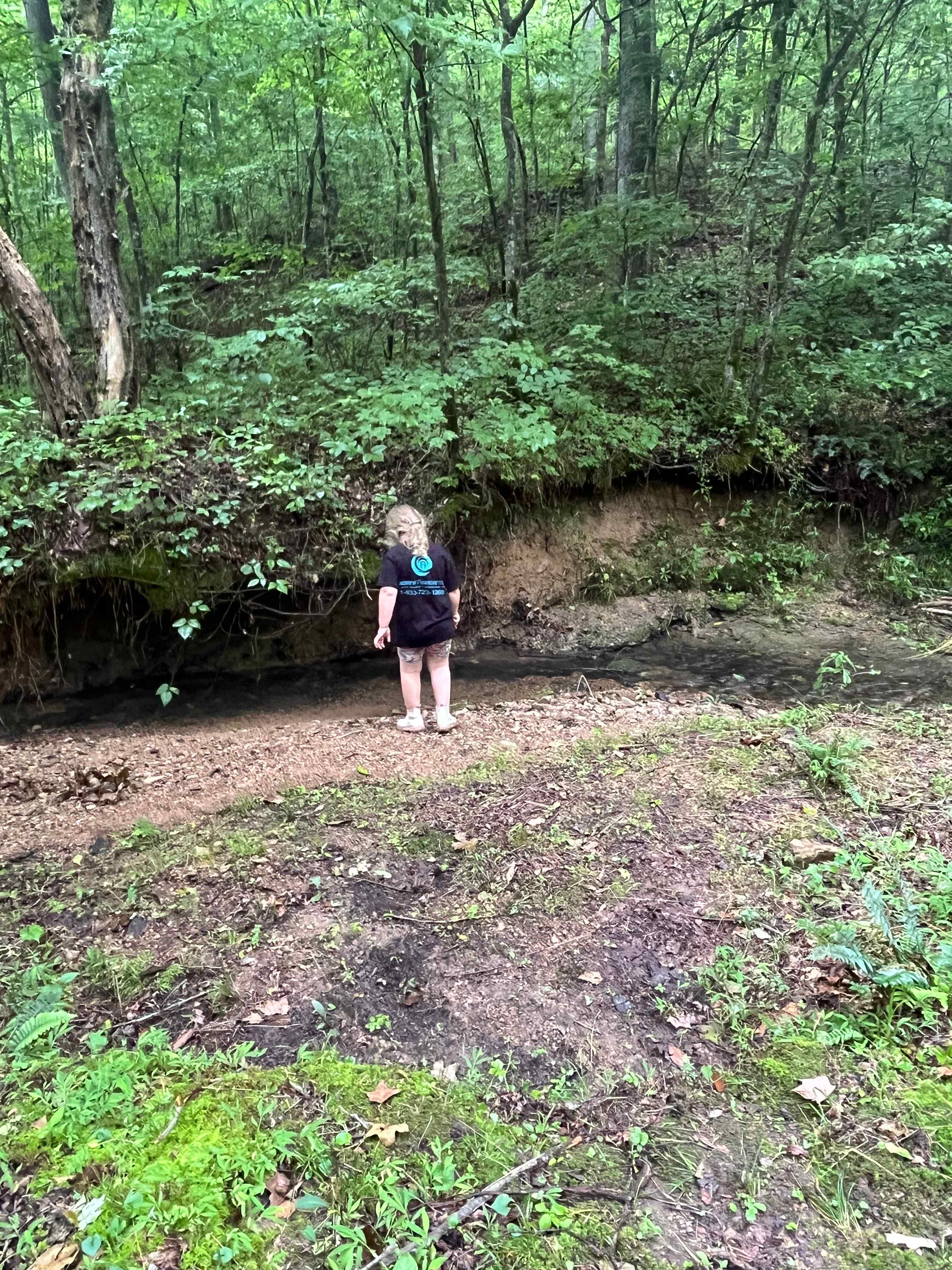 Lionsgate Campground