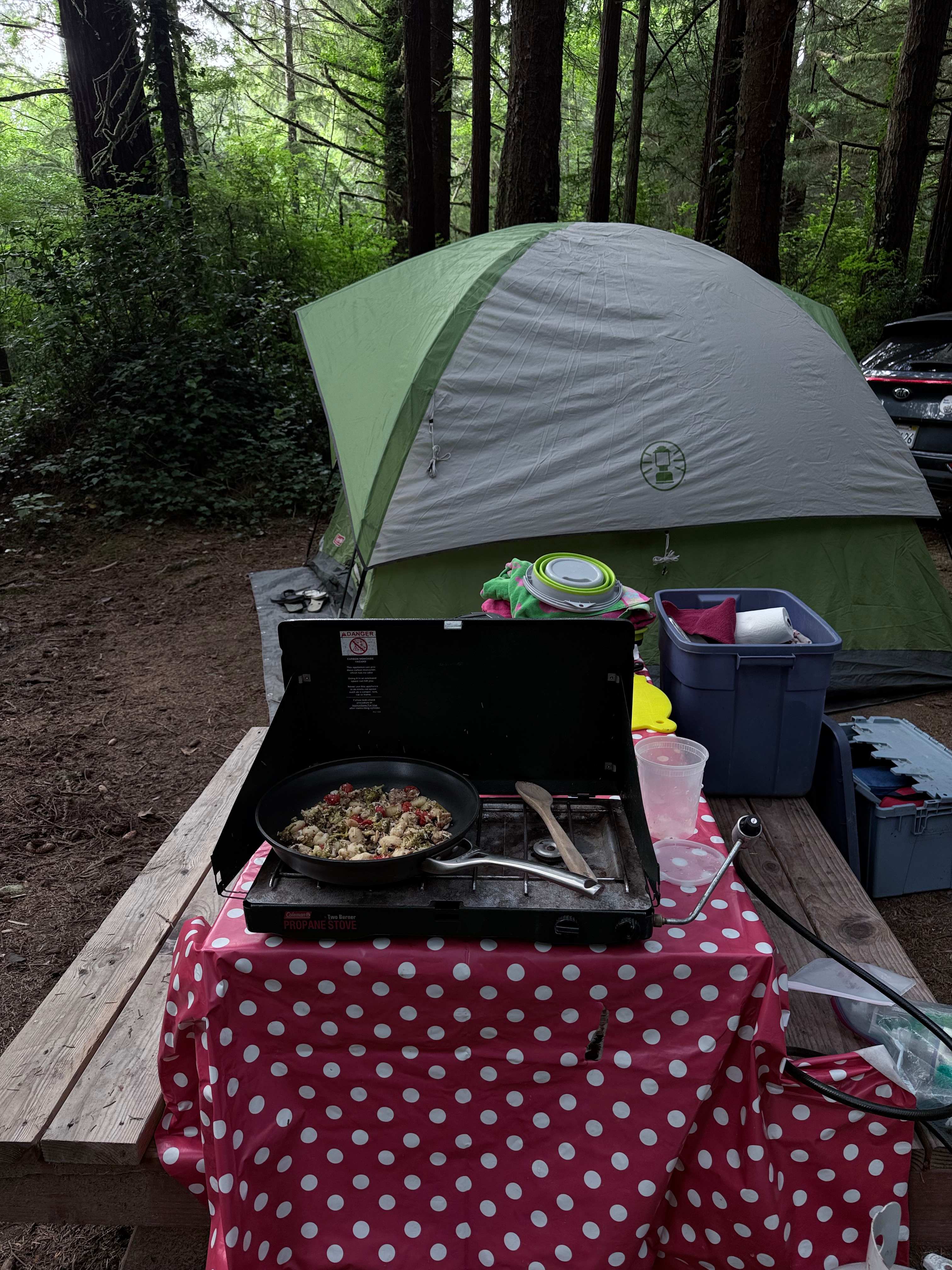 Mystic Forest Campground