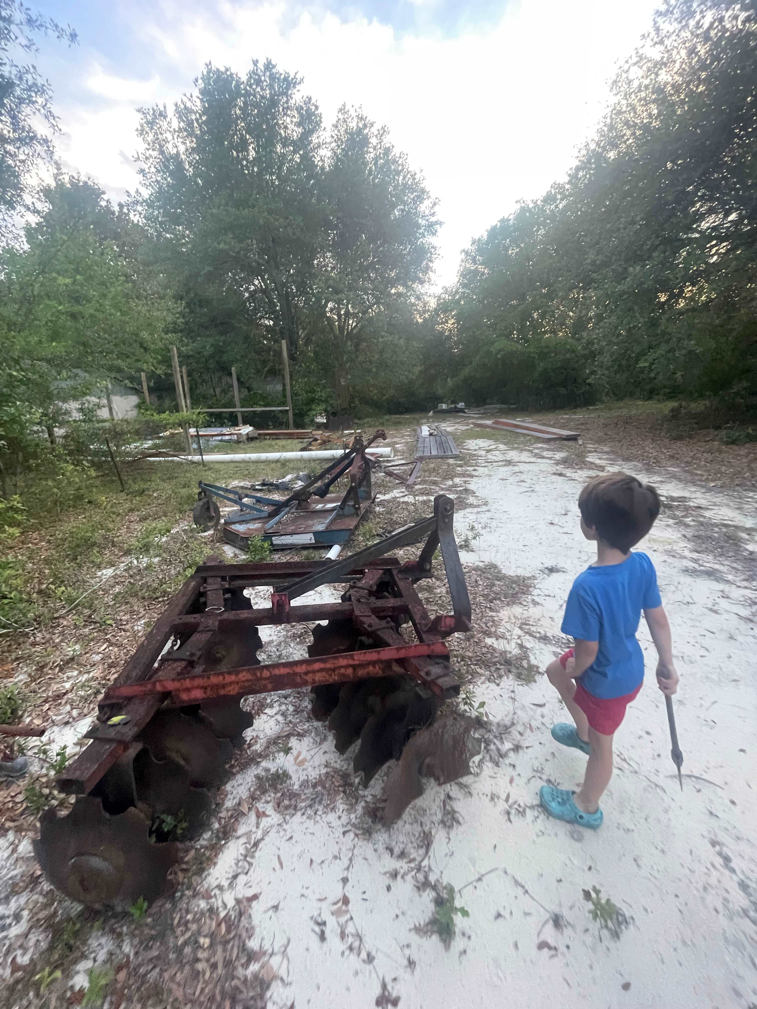 Too Many Oaks Plantation