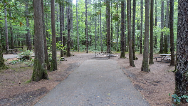 Tent Sites