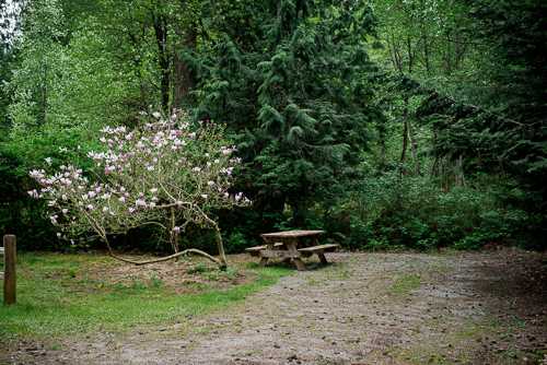 Rv P-7 Dry Site