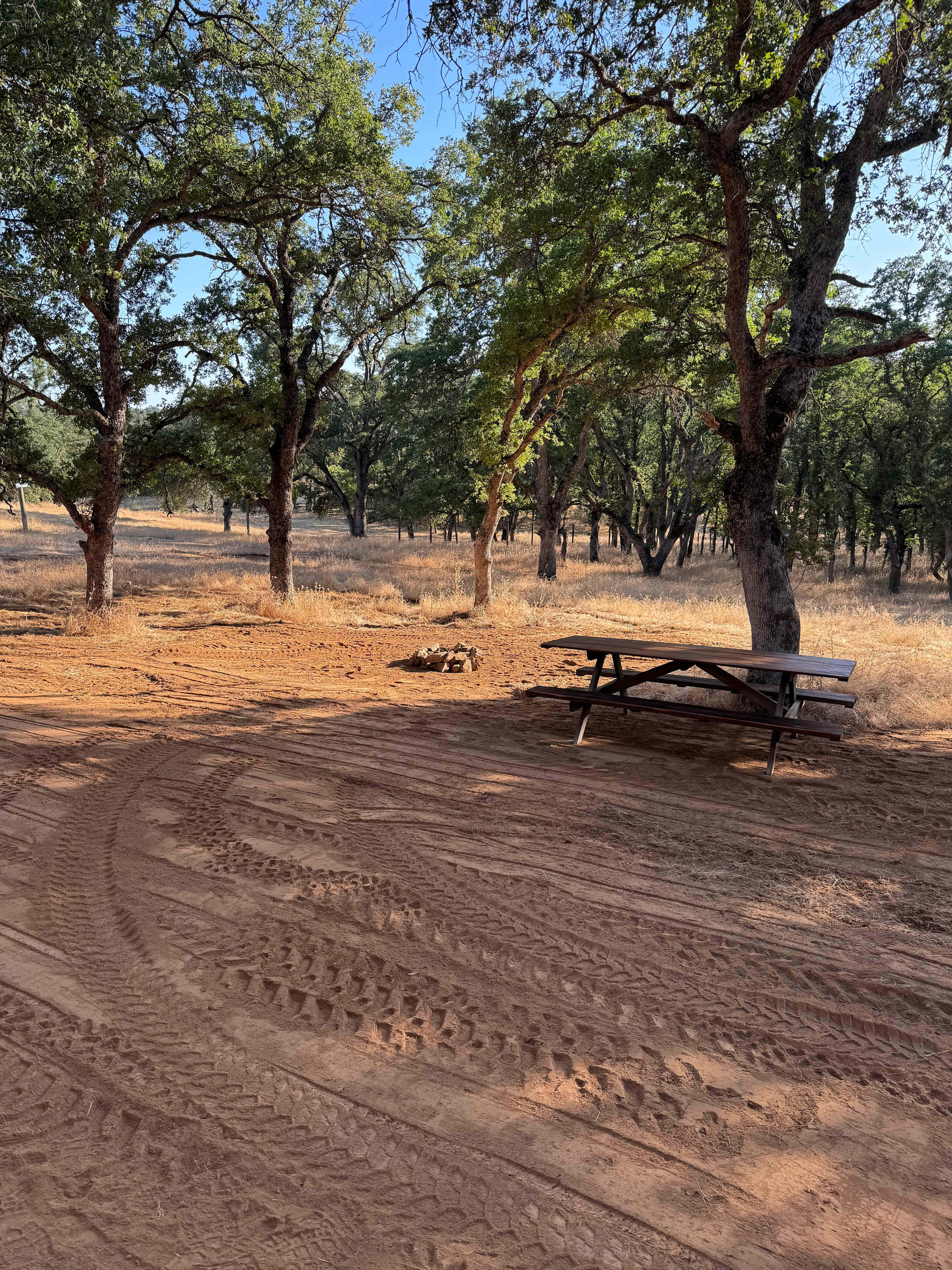 Ascension Ranch