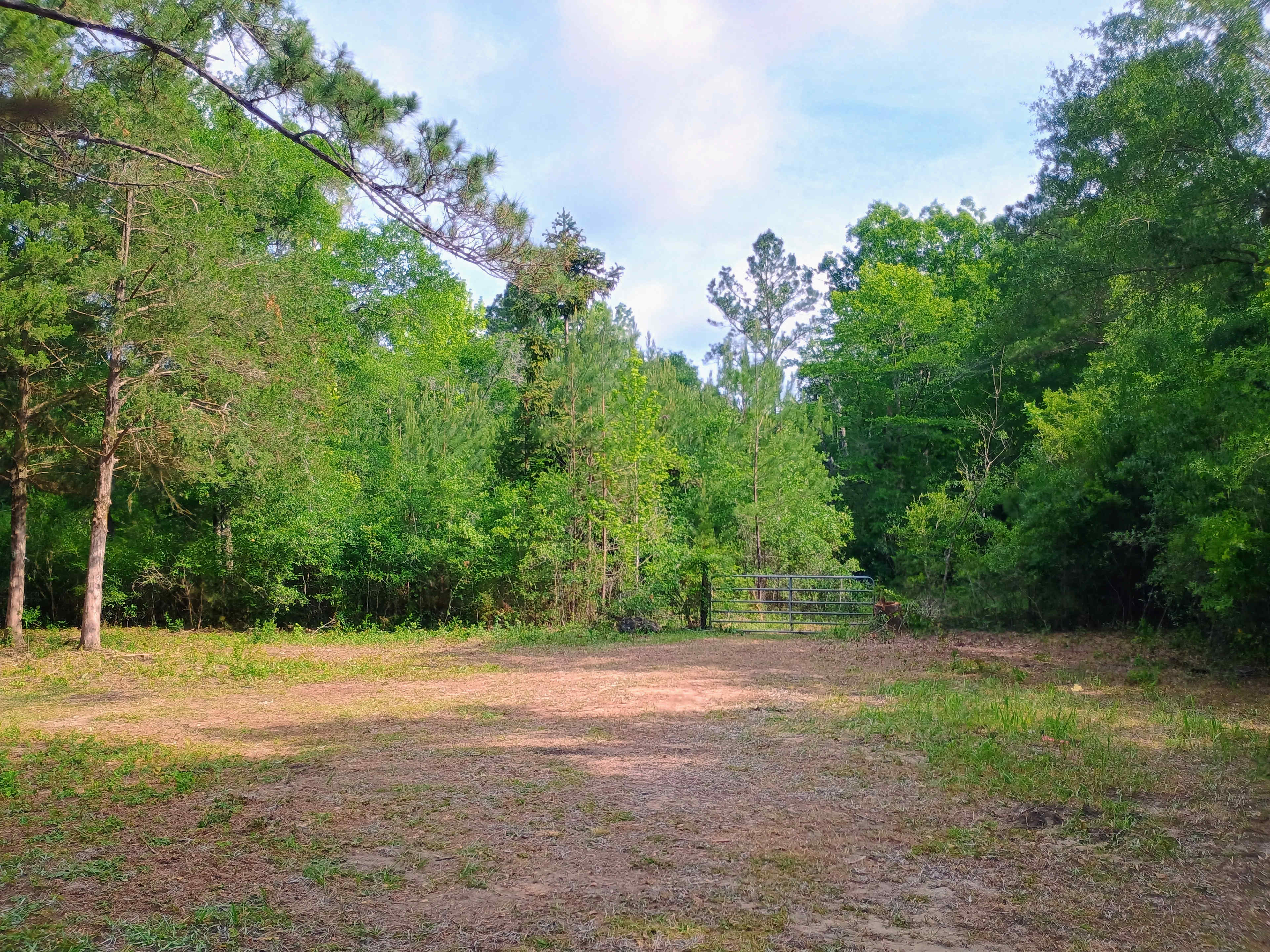 Pond side Fish Camp