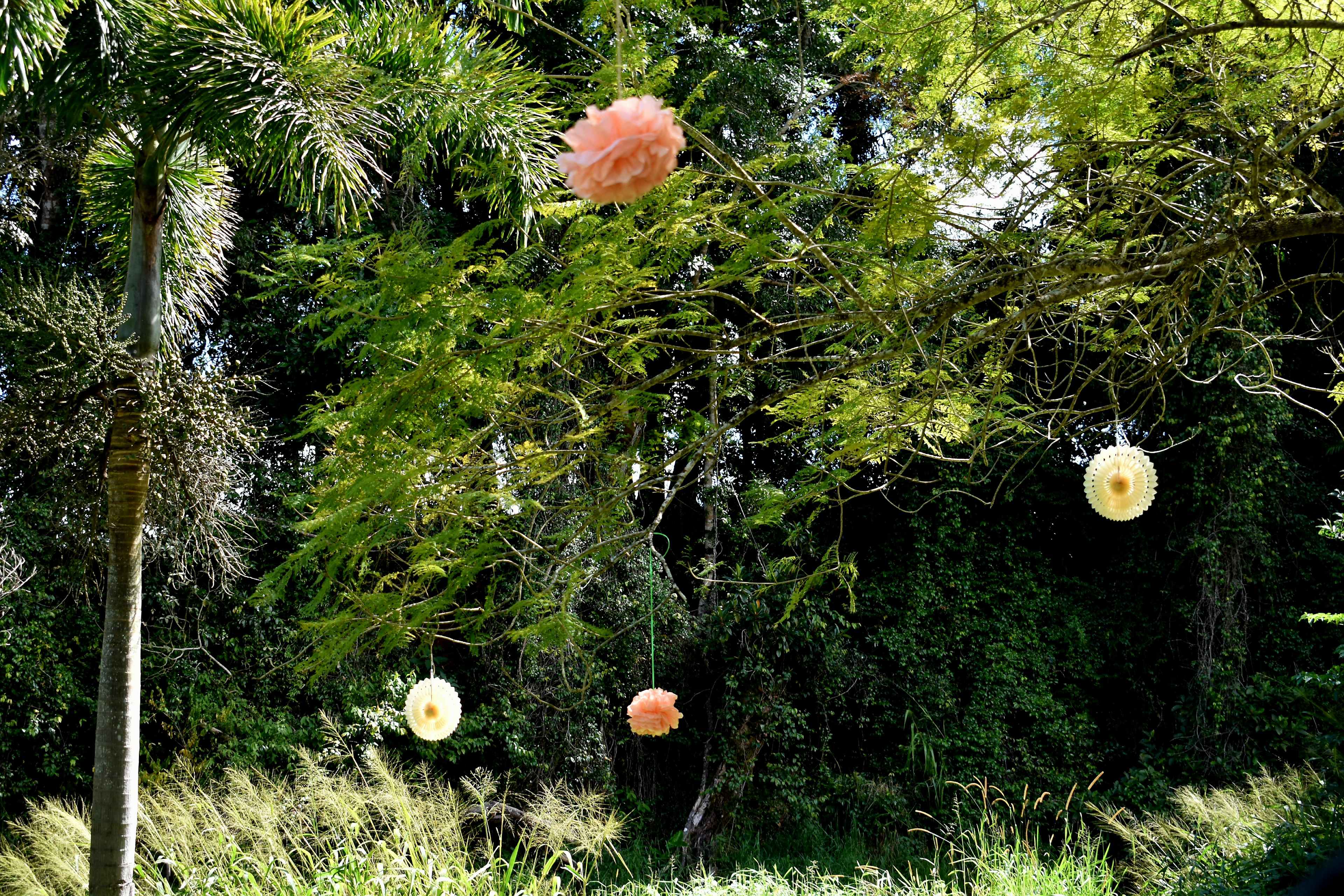 Malanda Stream Private Camping.