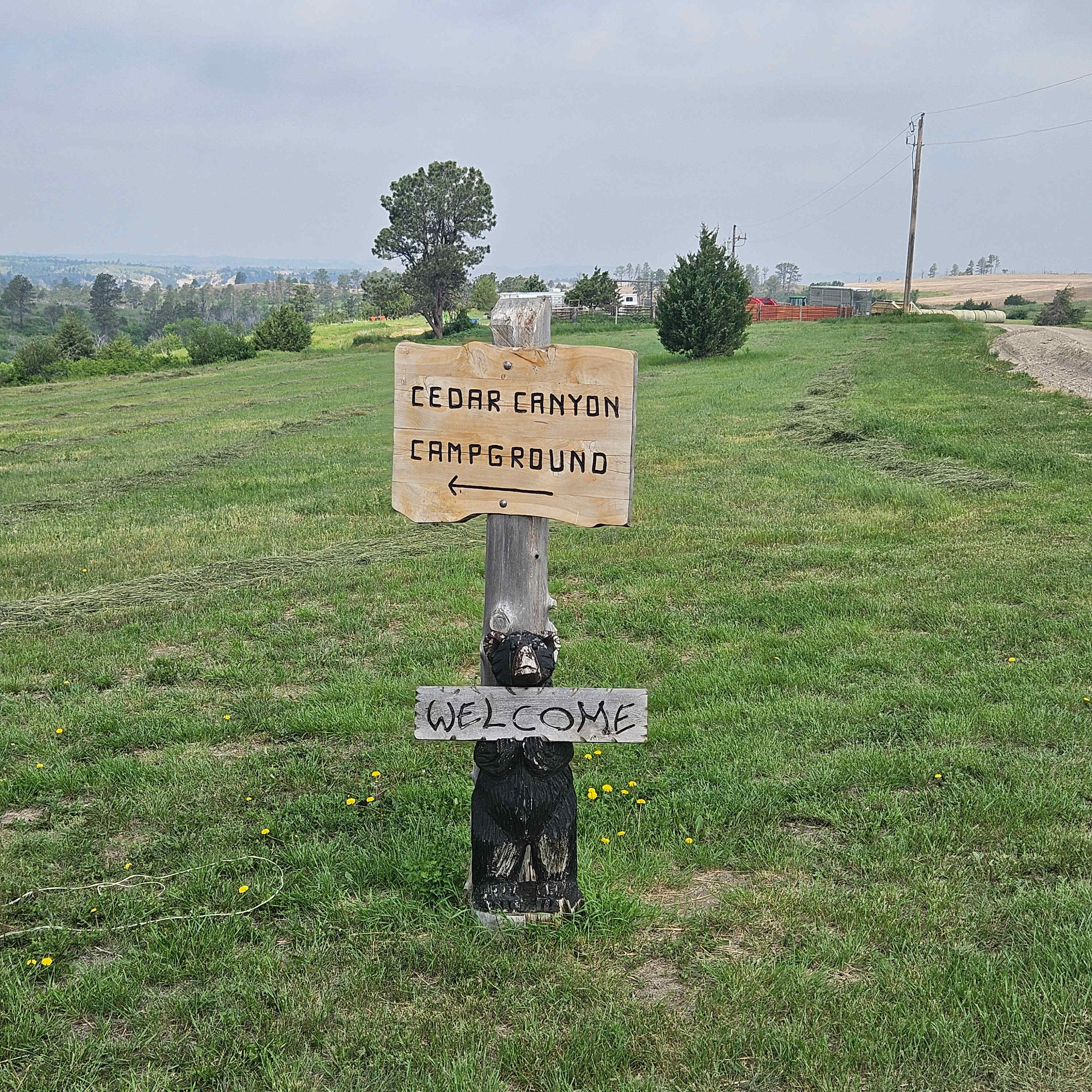 Next sign you'll see. 