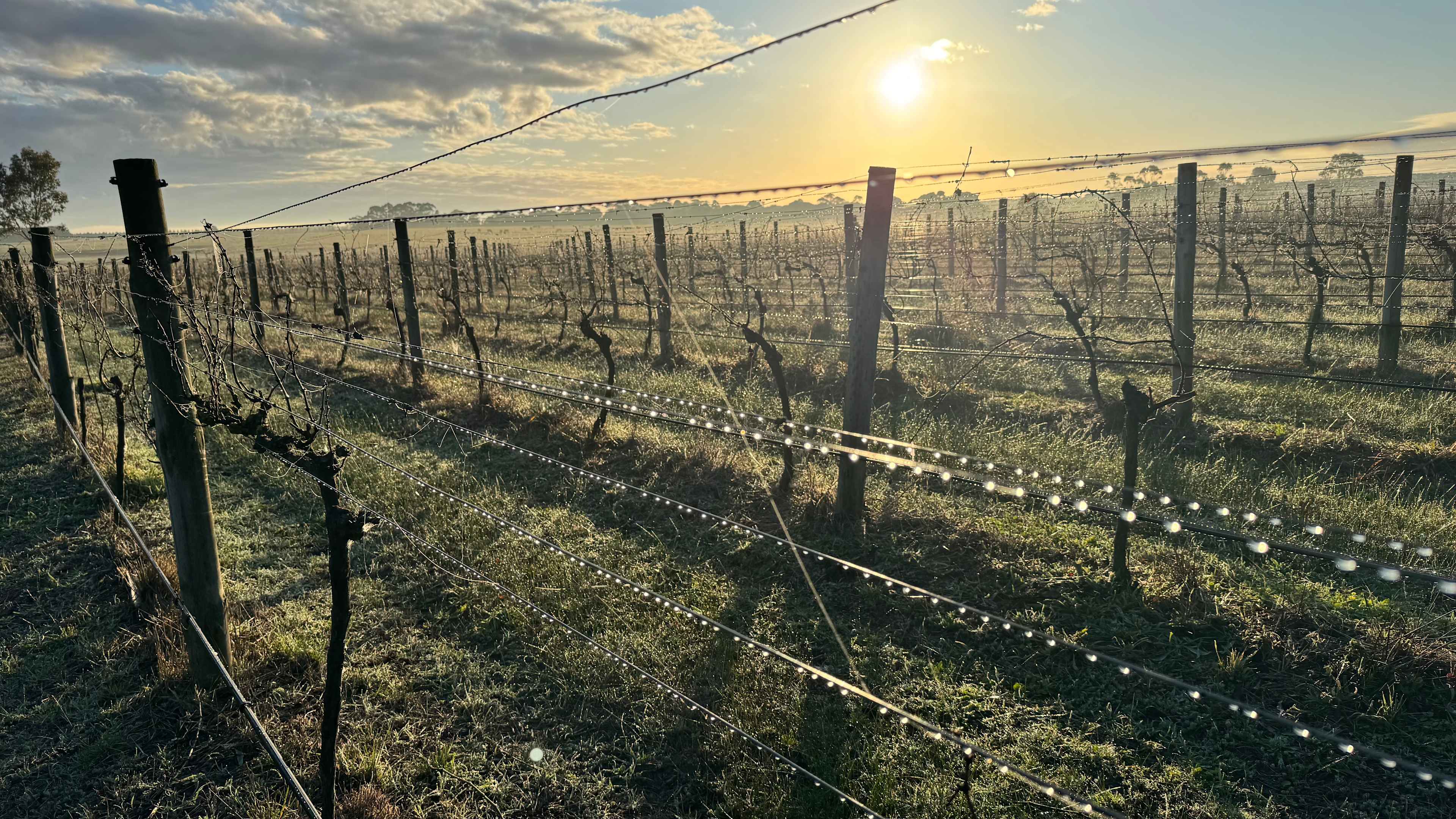 Alt Road Winery