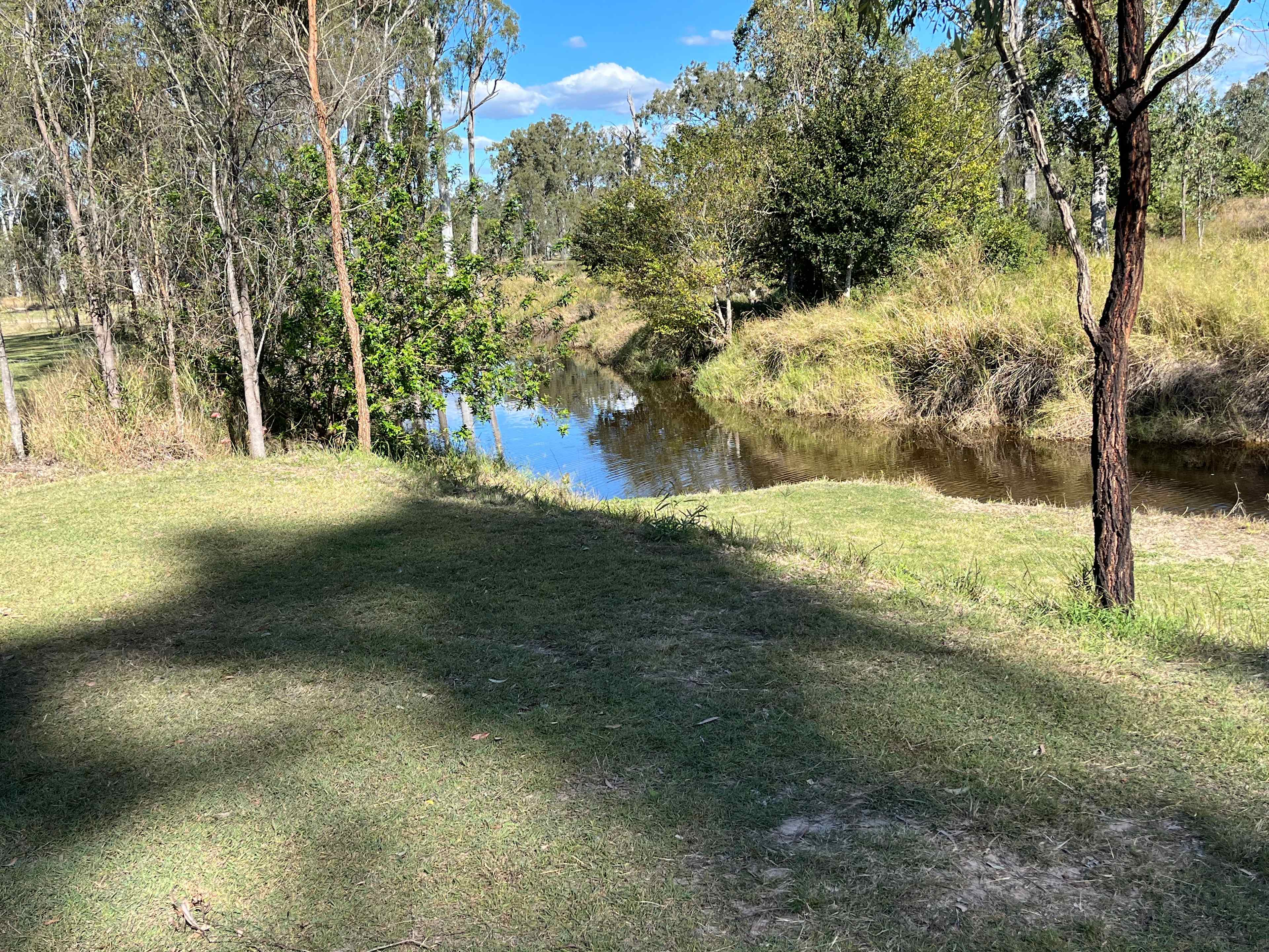 Plenty yabbies in the creek 