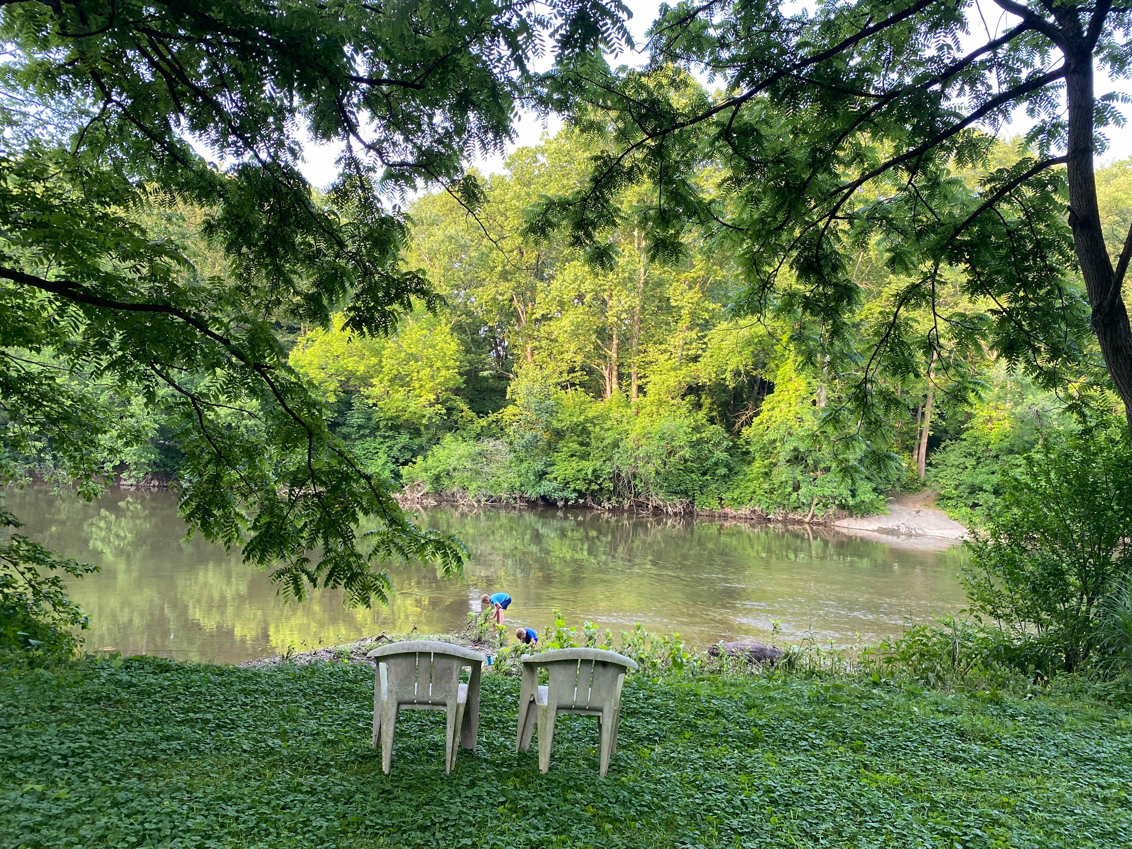 Secluded River View