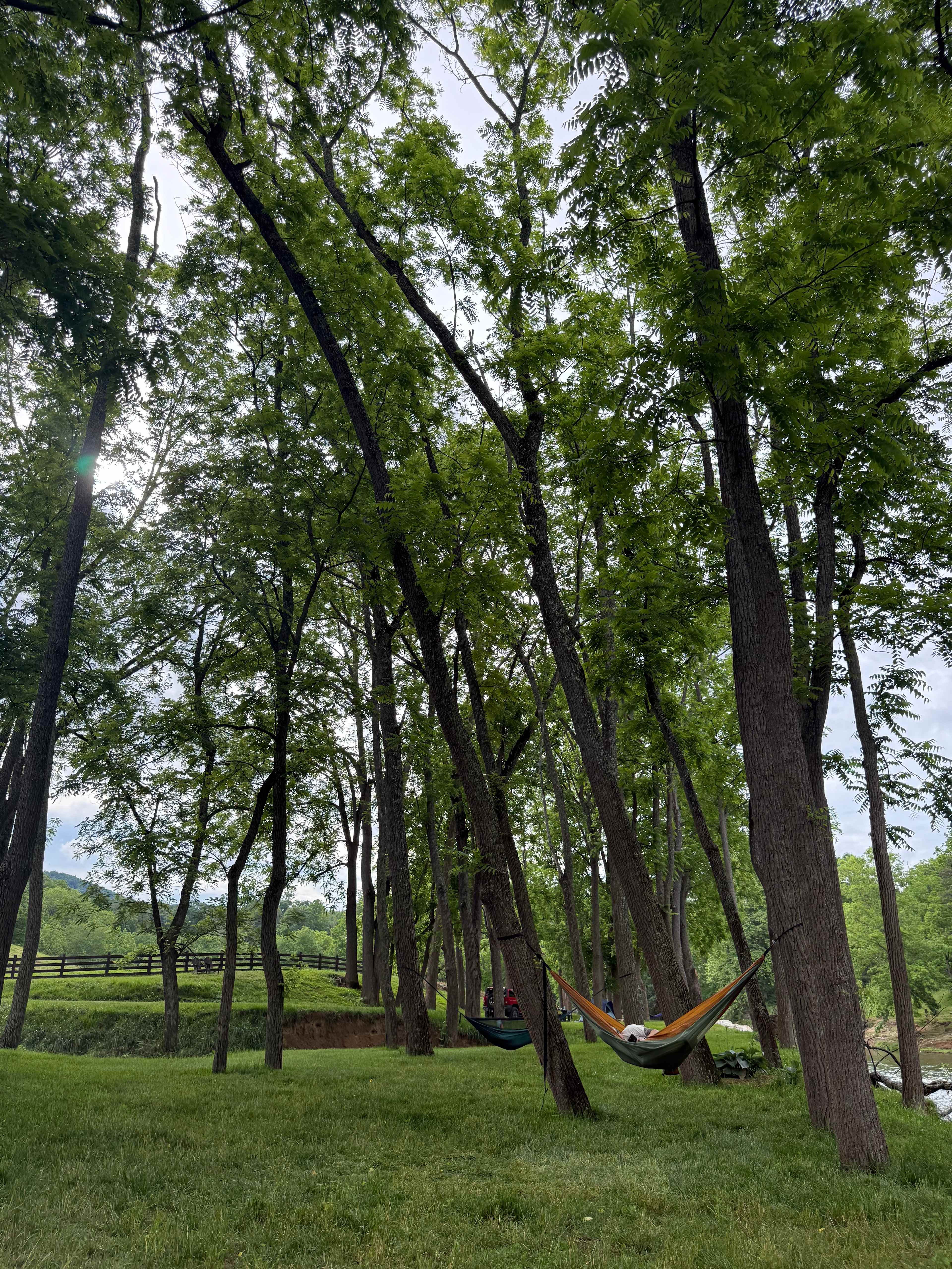Plenty of trees for hammocks by the water