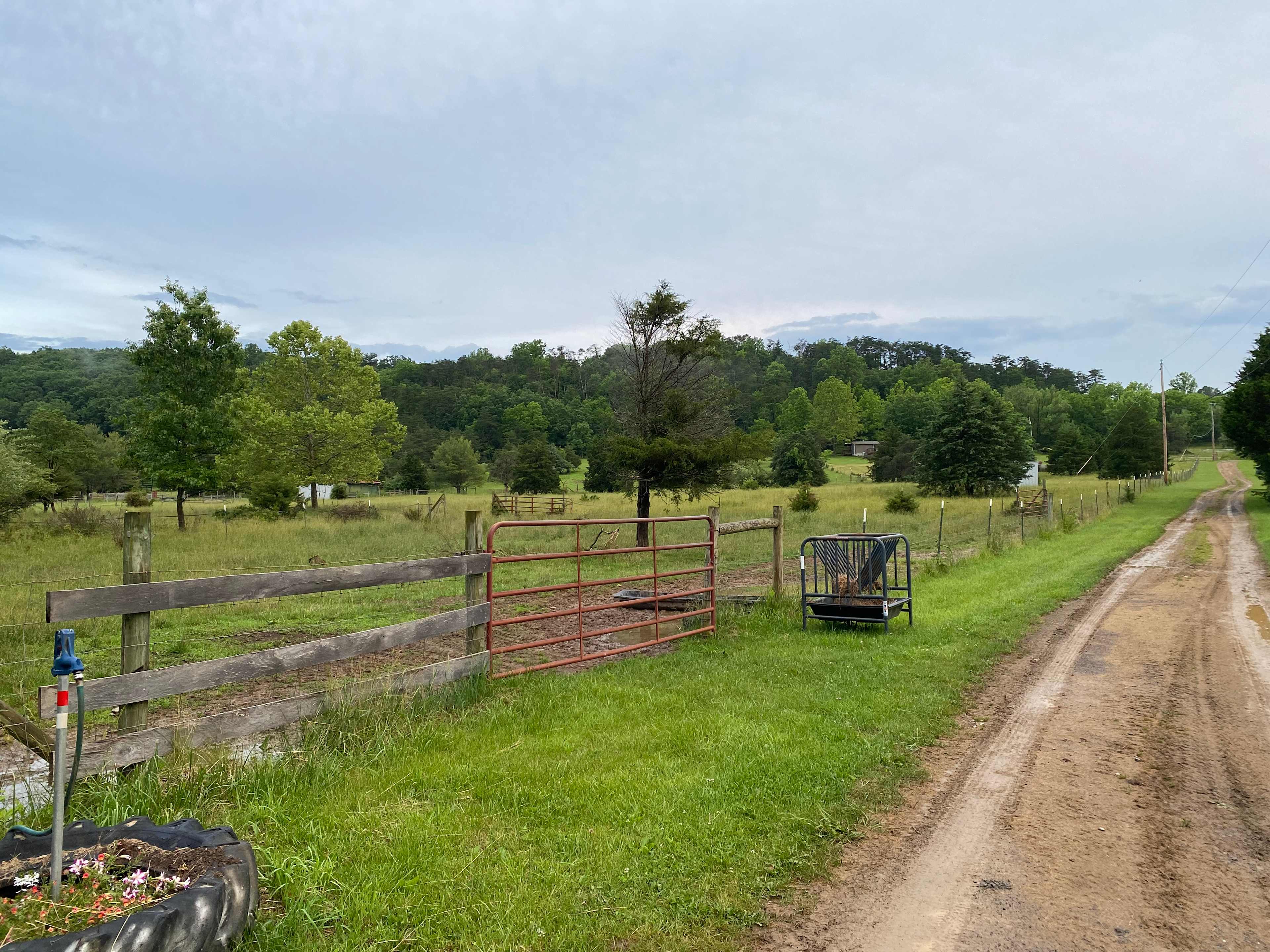 Carp Cove Farm