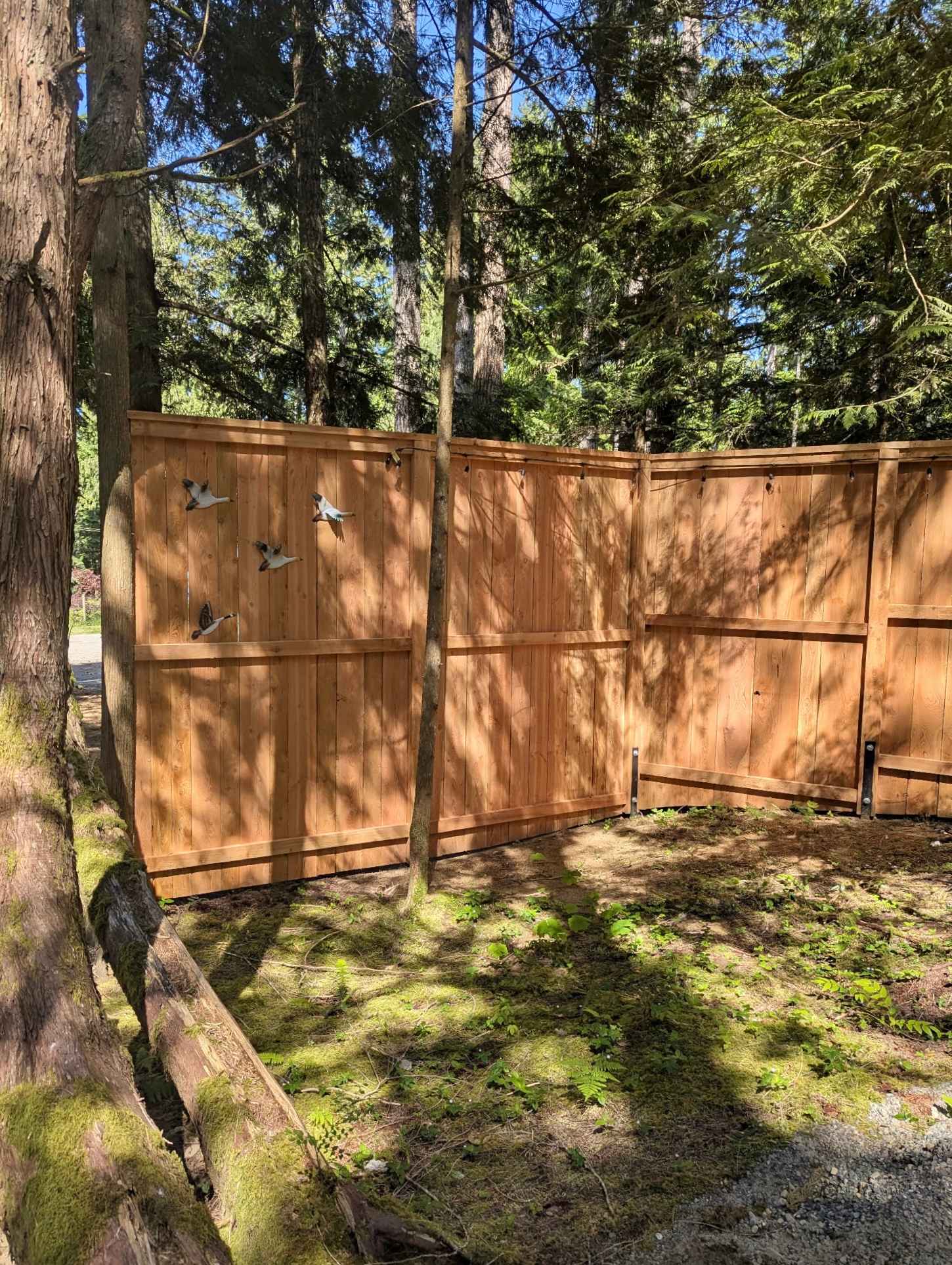 The Wheelie Rad RV Pad & Cabins