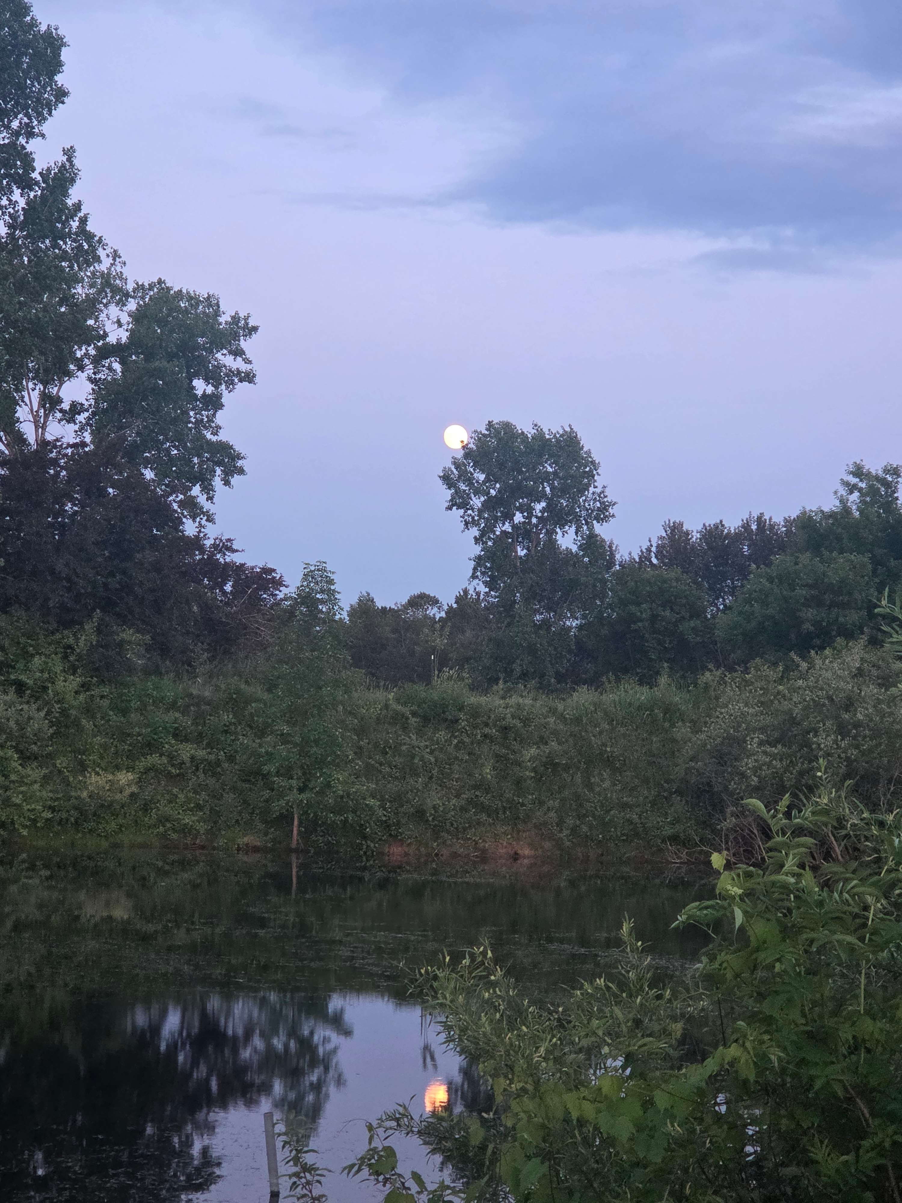 Bluegill Haven