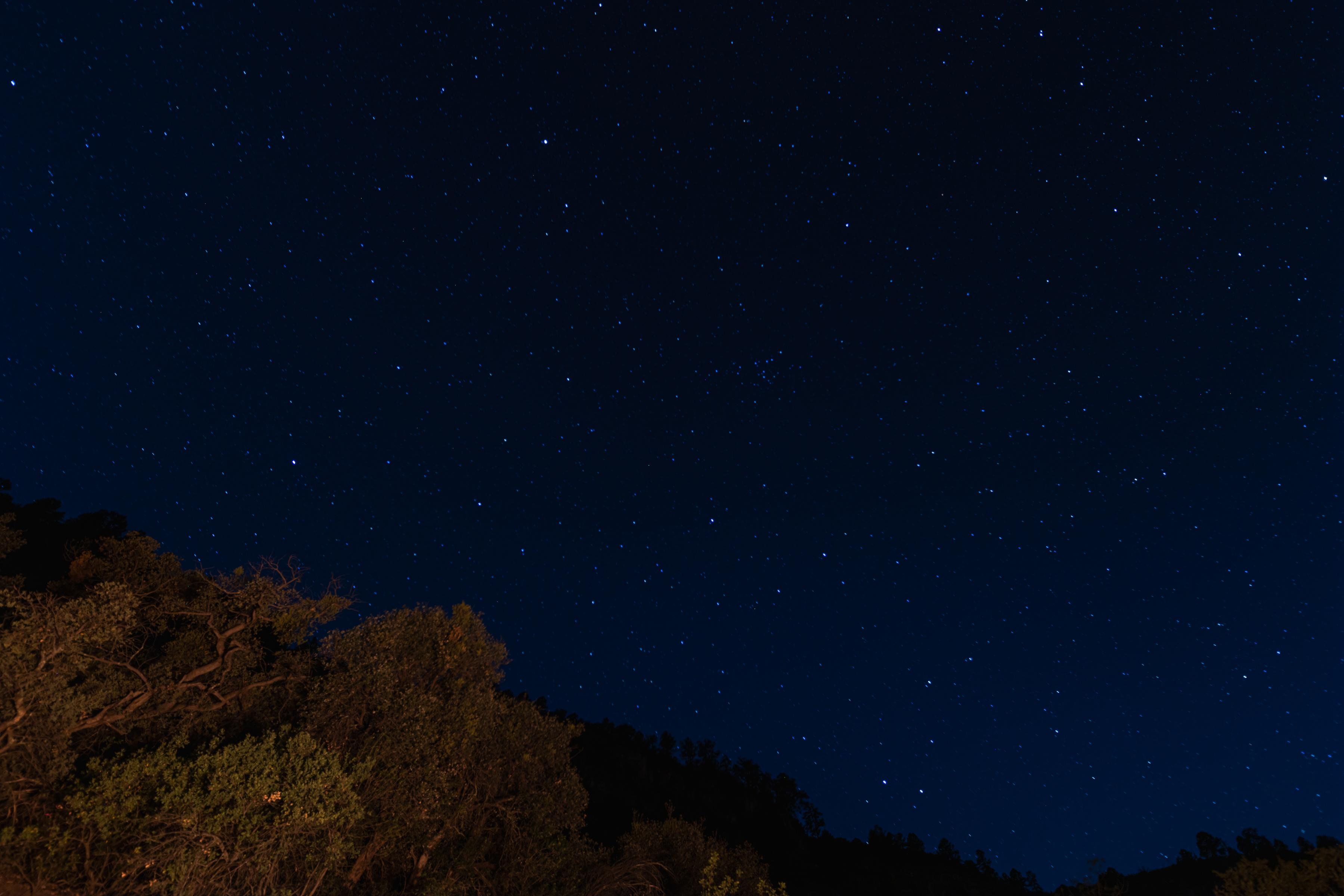 Night Sky at the campsite, sky full of stars