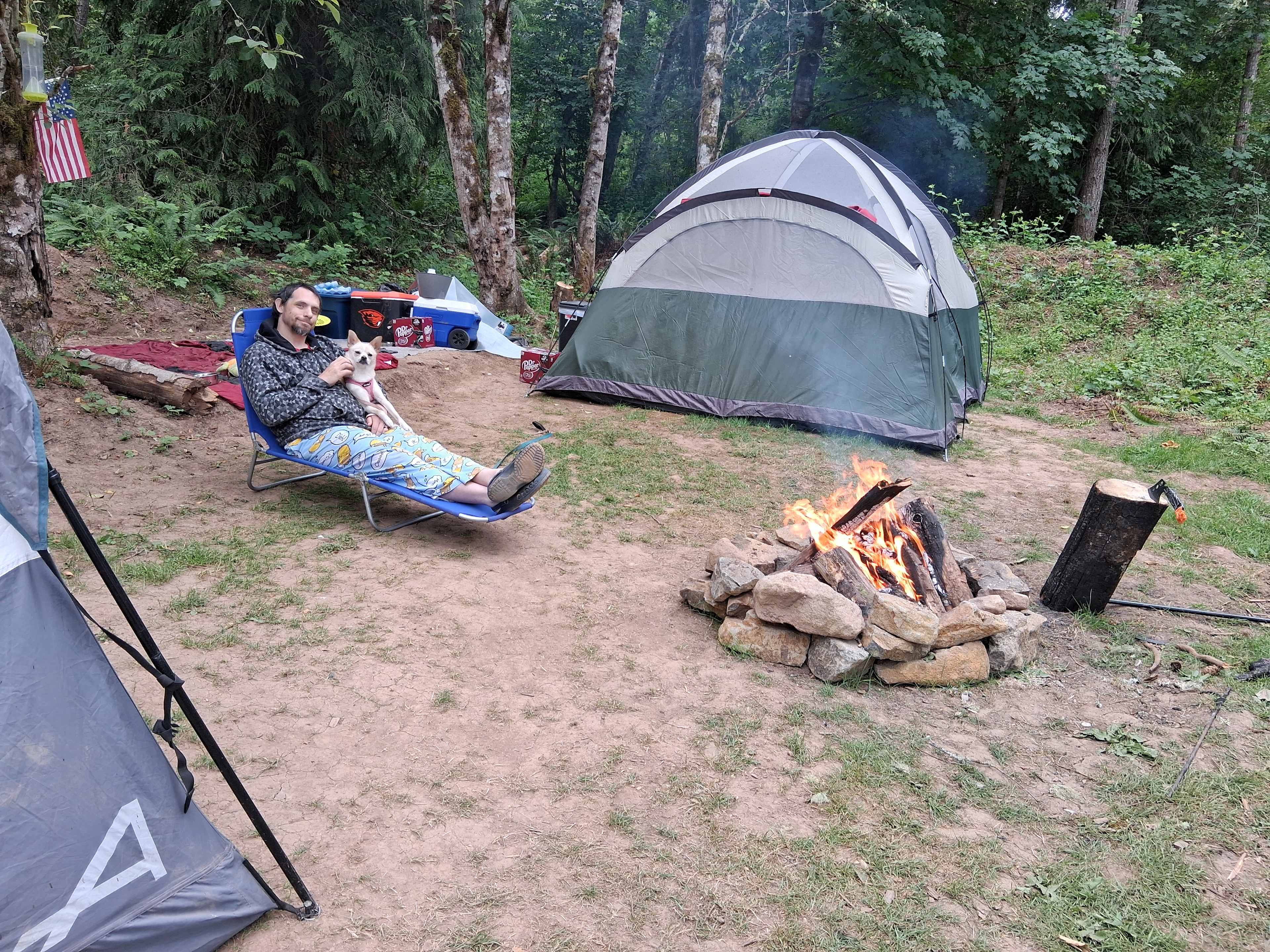 Picture of the site