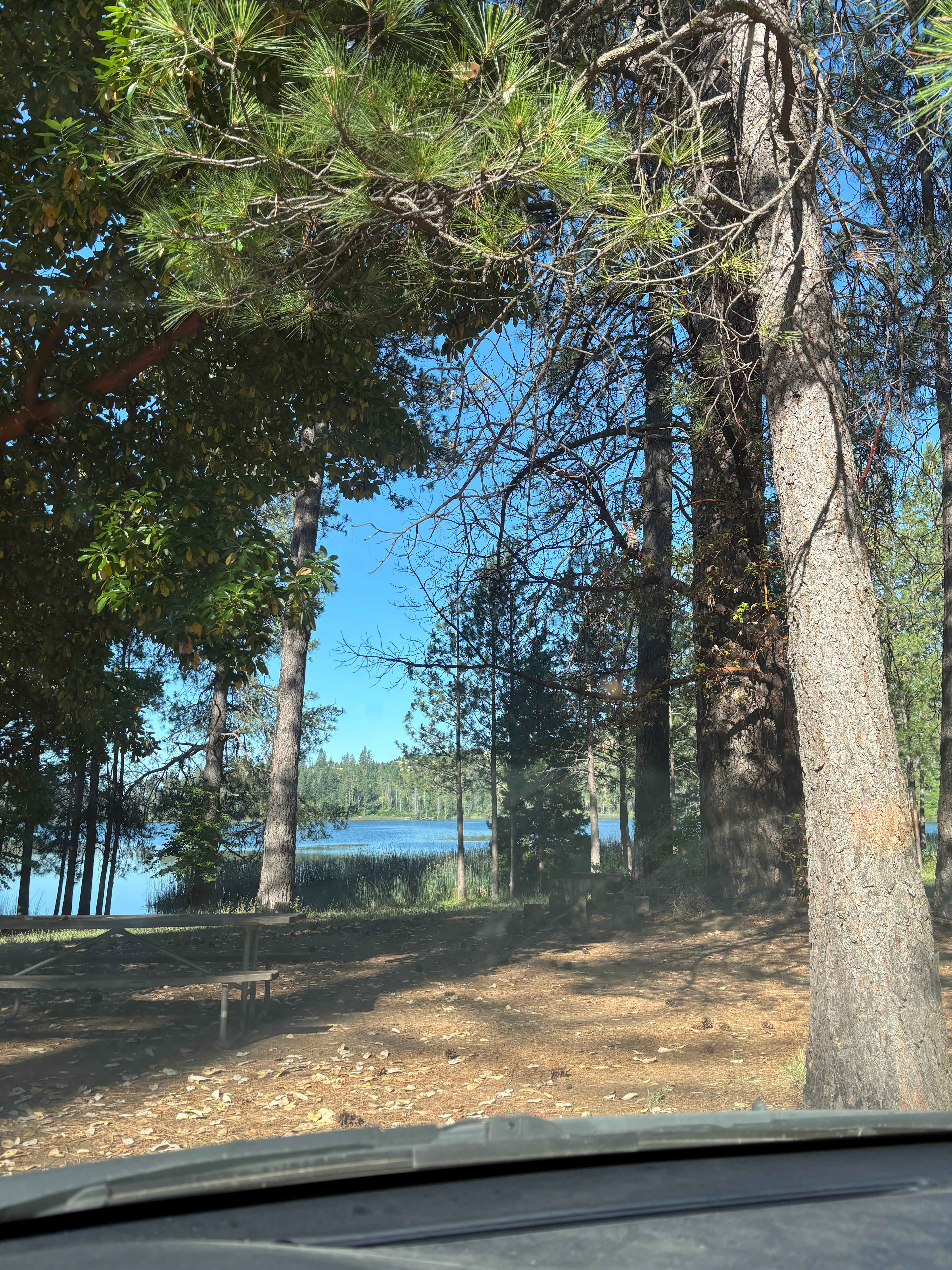 View from car of campsite, picnic table, and lake