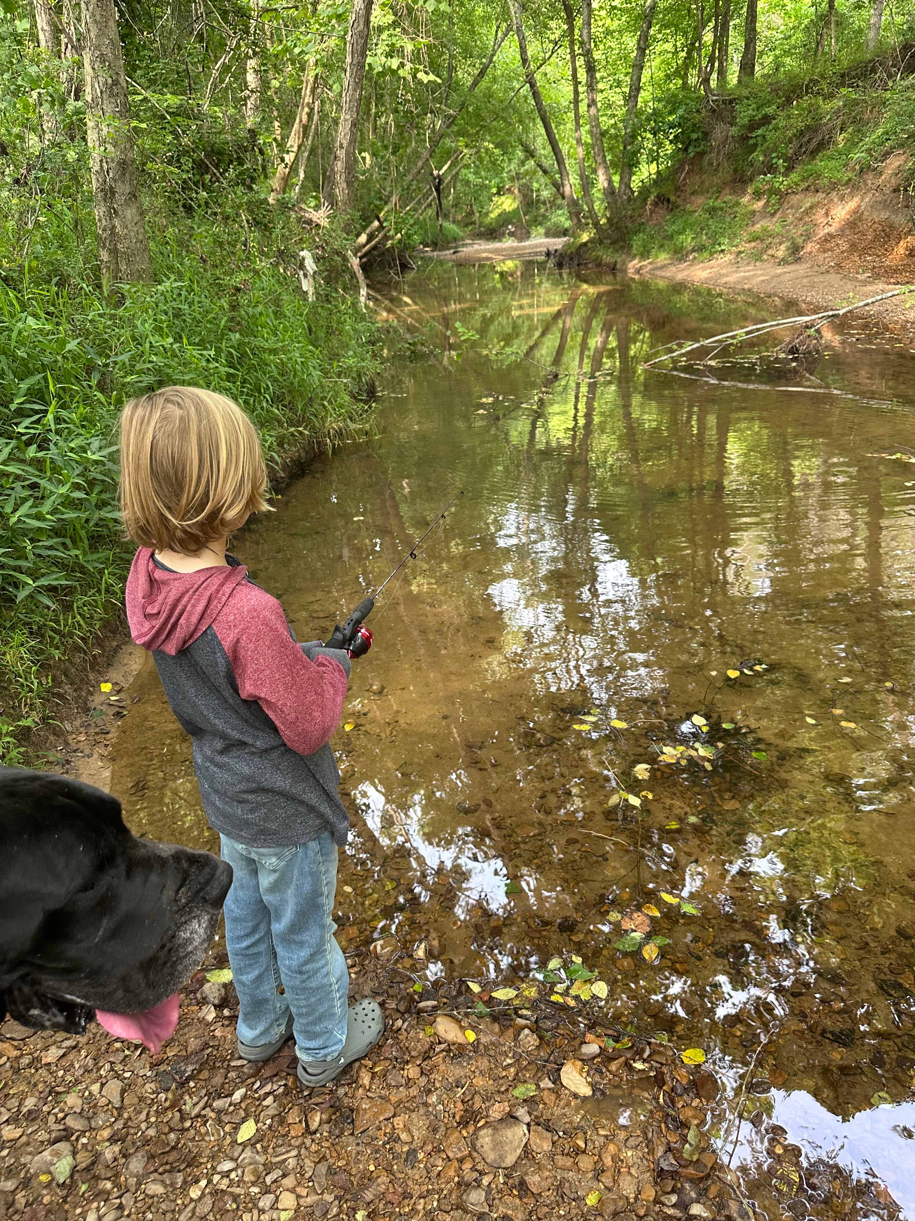 The Belle At Goodwin Creek