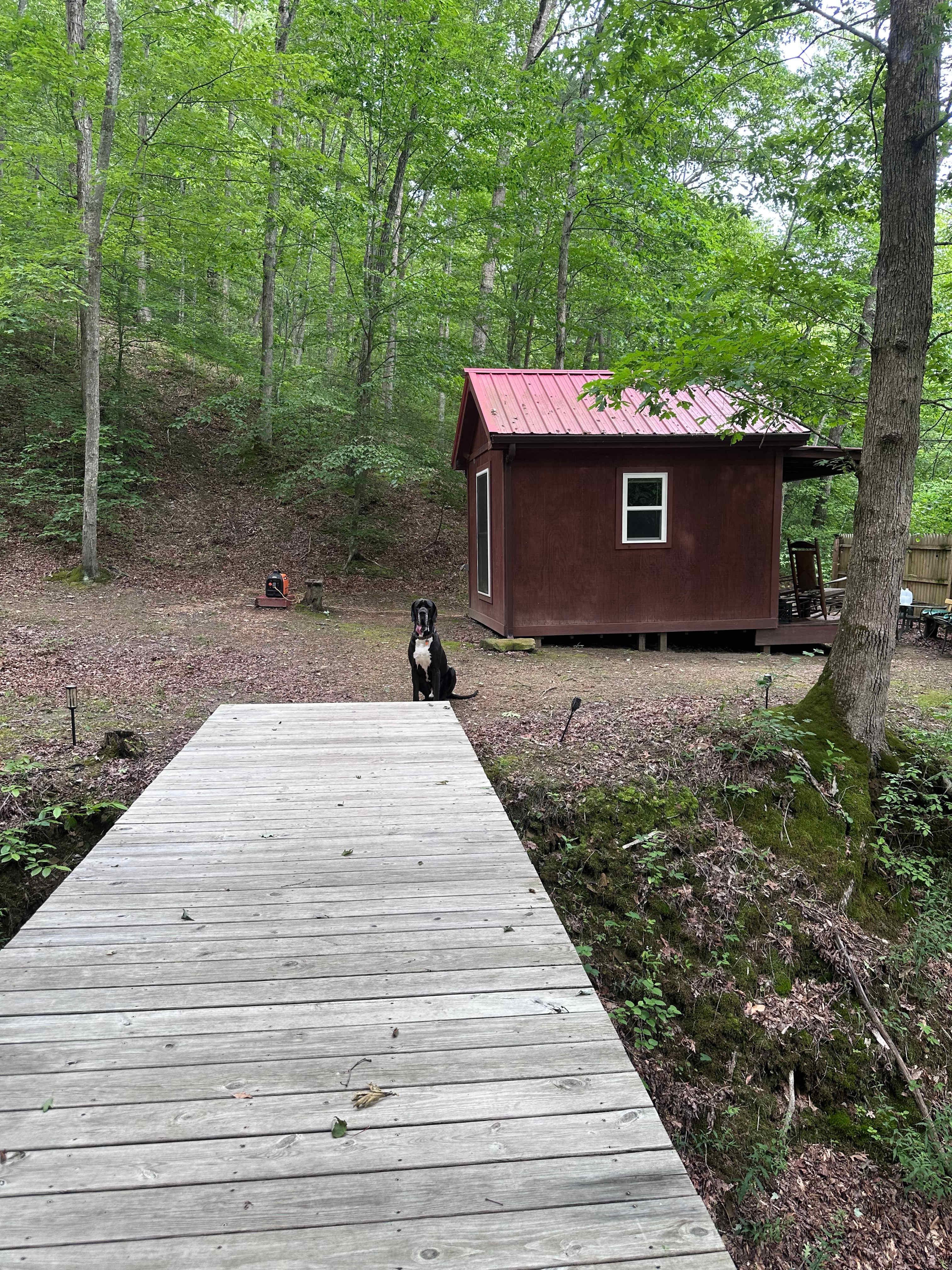 Backwoods Hideaway