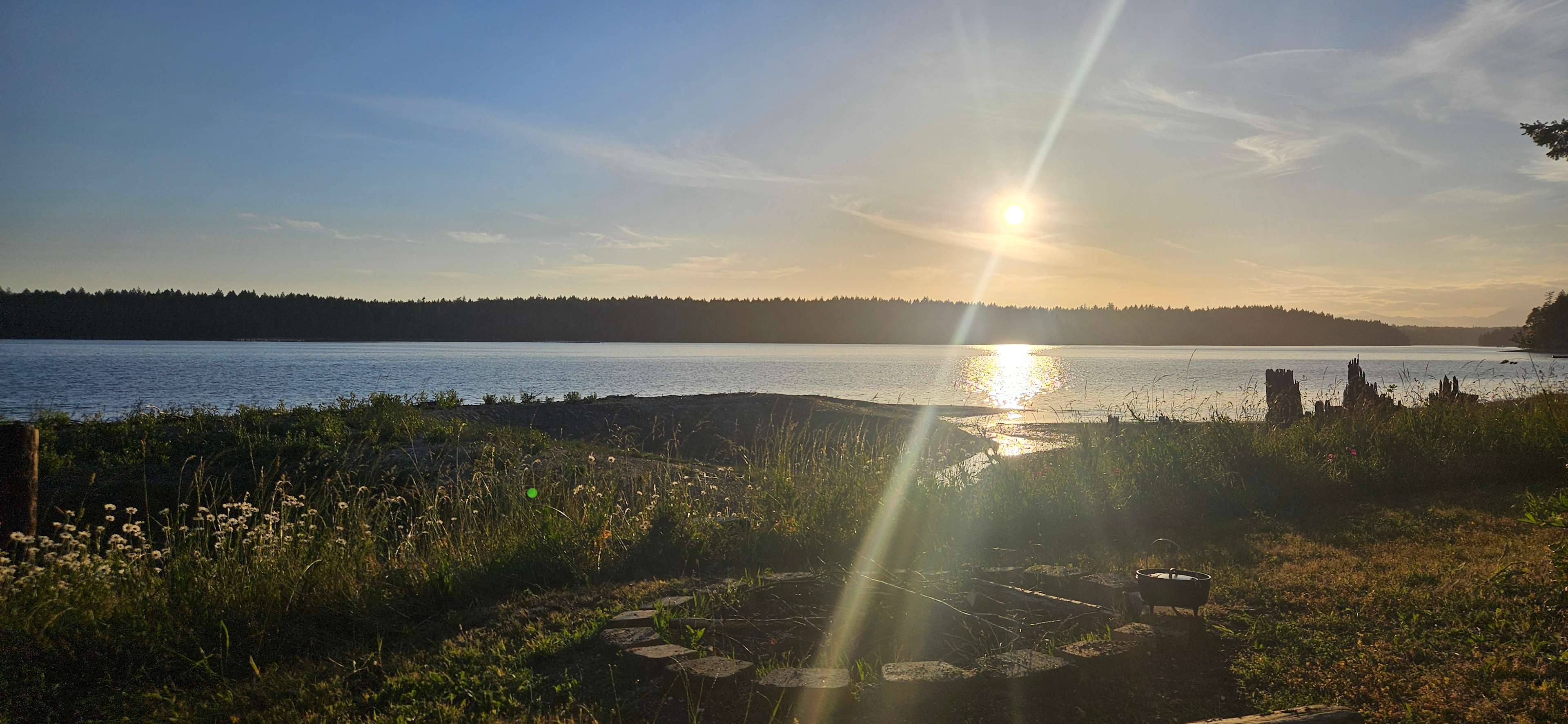 Woodland Grove on the Coast