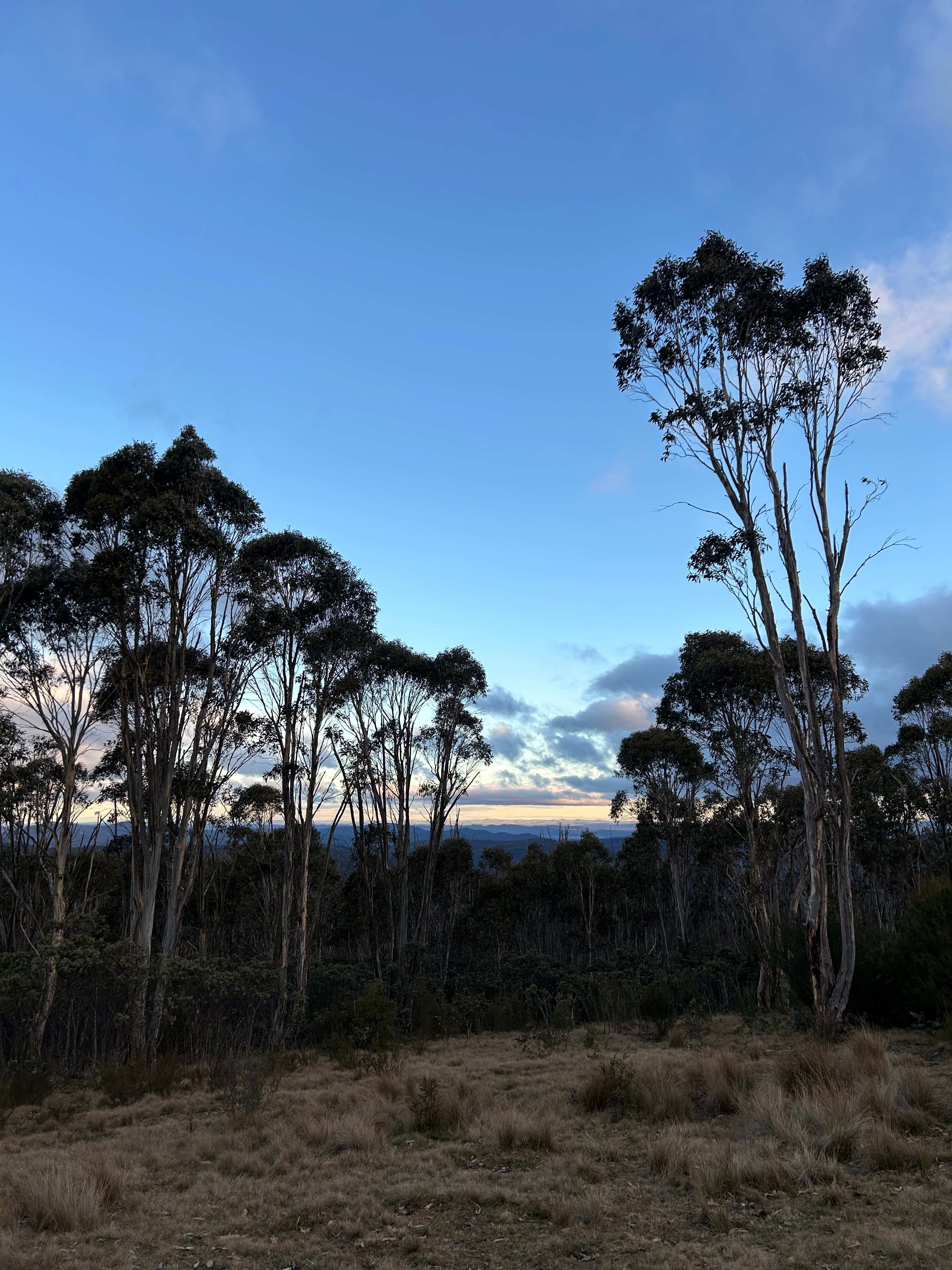 Tin Can Ridge