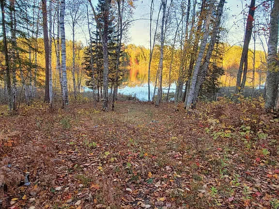 The Long Lake Wildlands