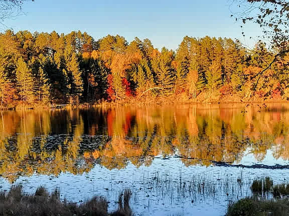 The Long Lake Wildlands