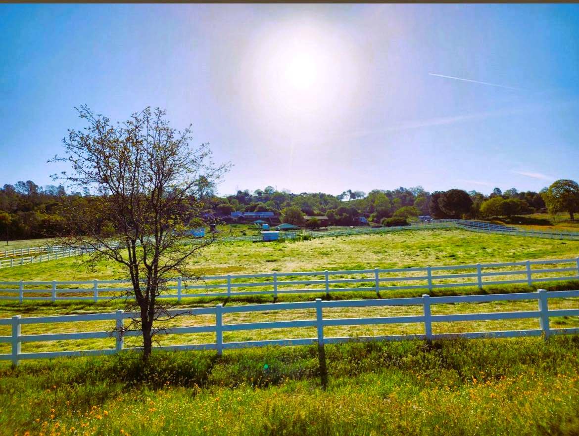 The Shepherd's Homestead