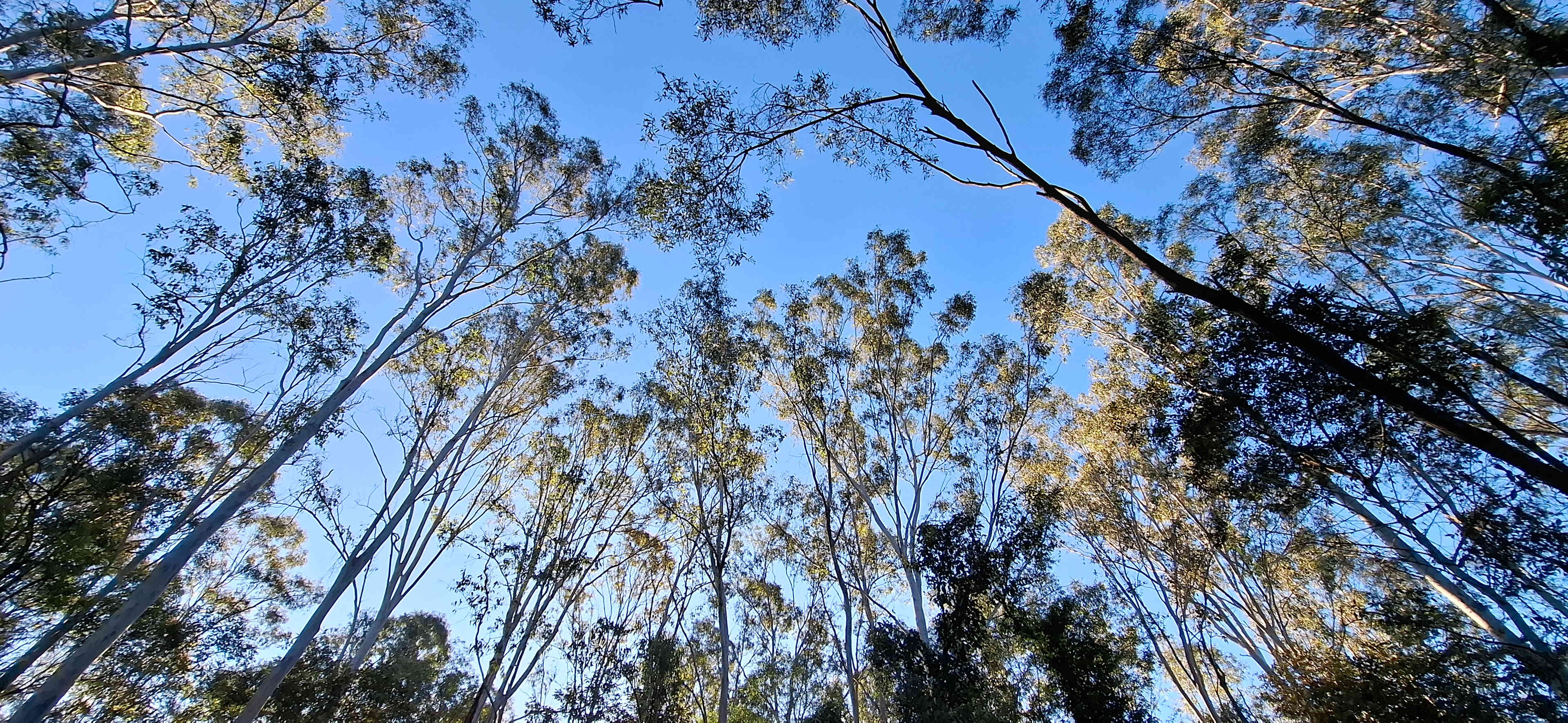 Hidden Creek Farm Qld