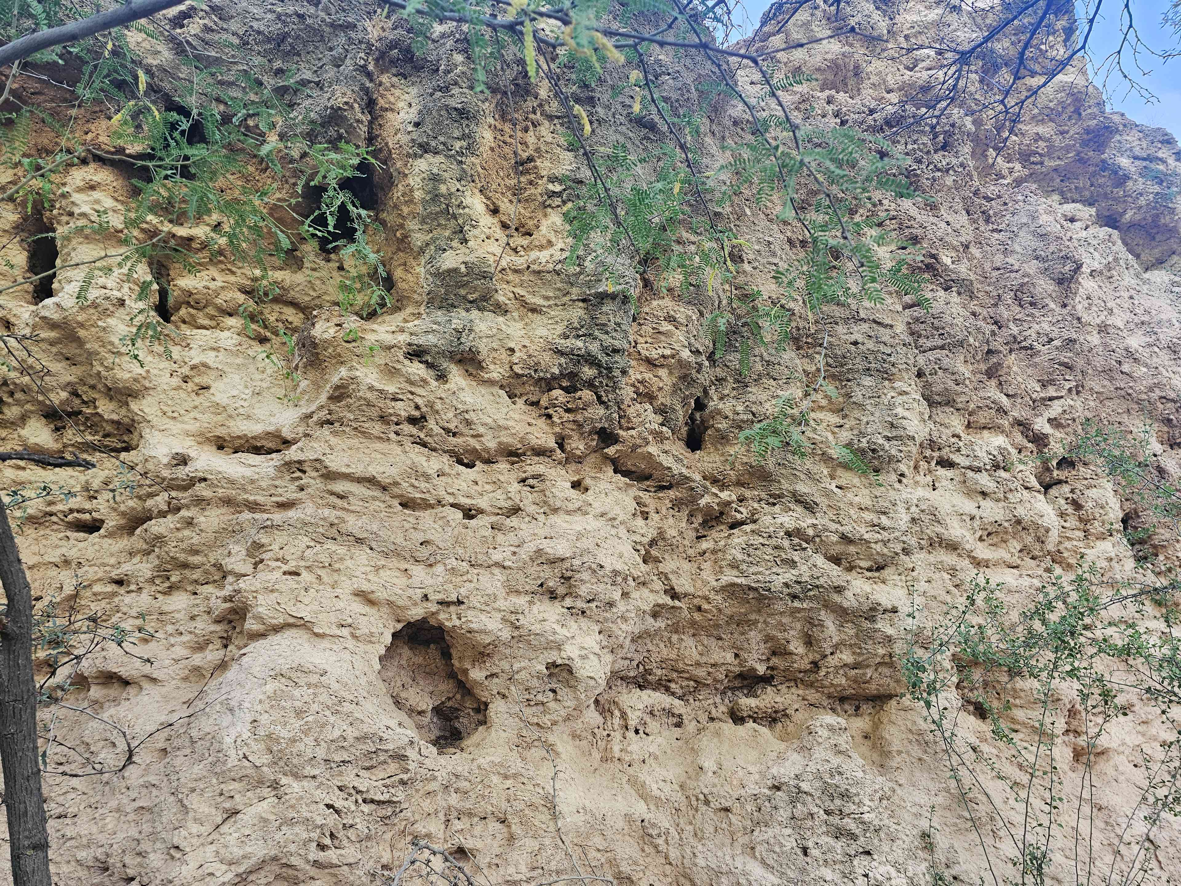 Sacred Springs