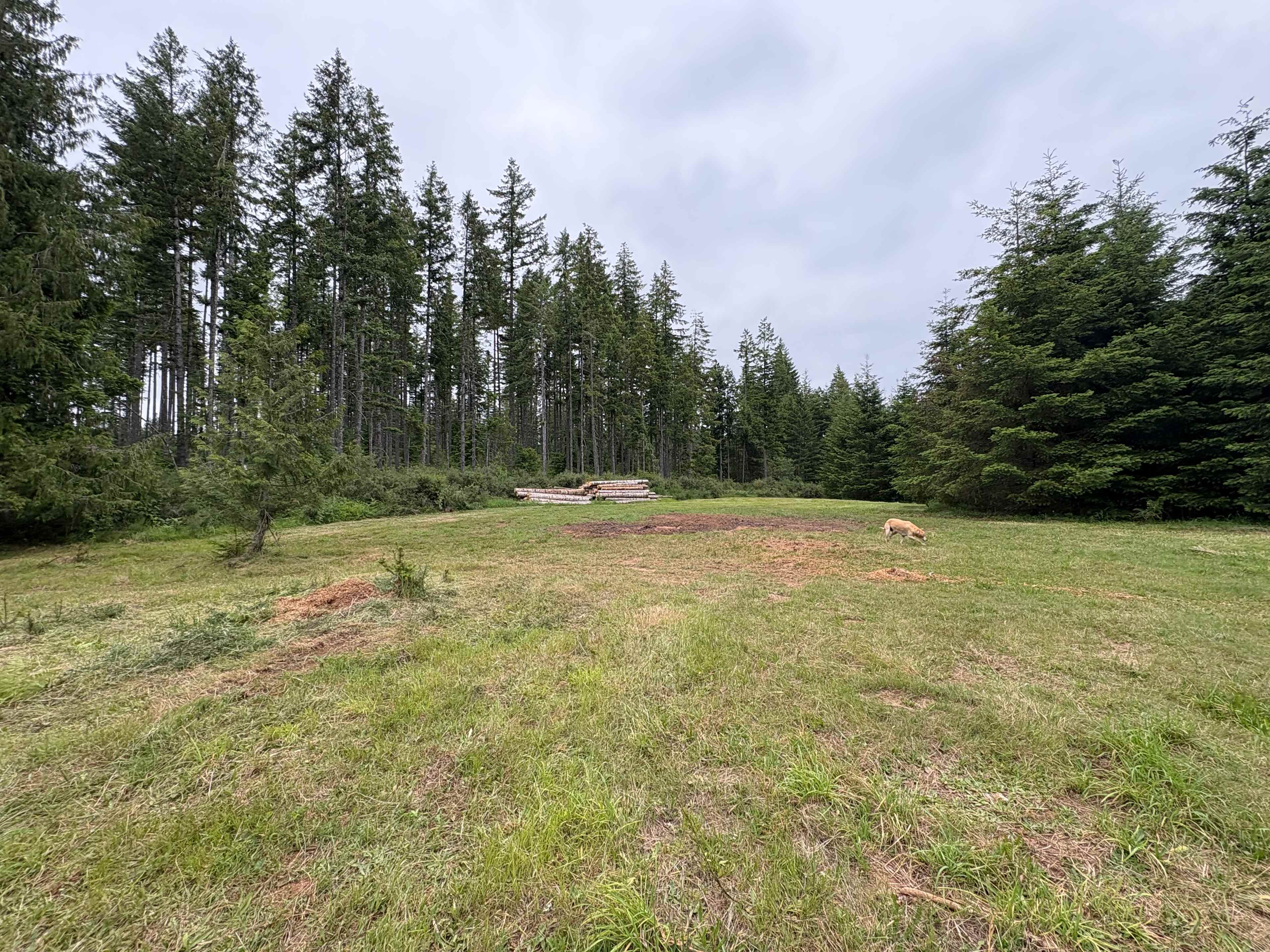 Vista View Ranch