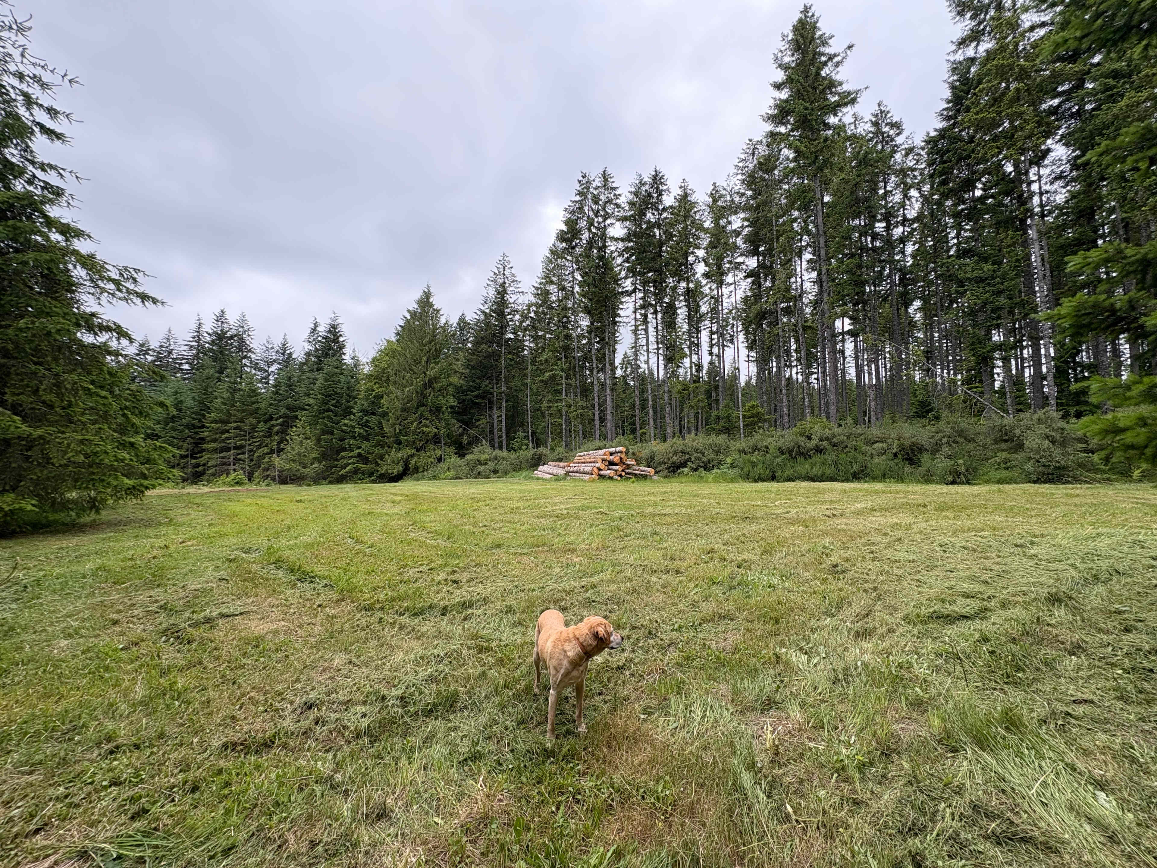 Vista View Ranch