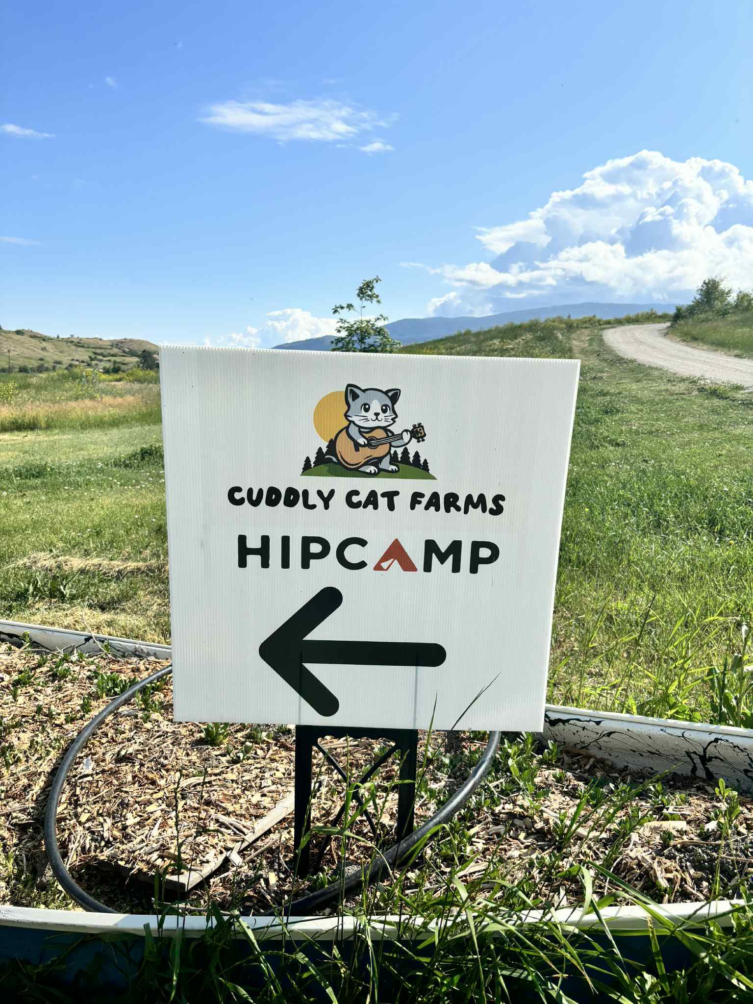 Cuddly Cat Farms
