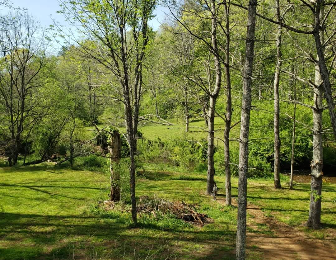 Hippie Hollow