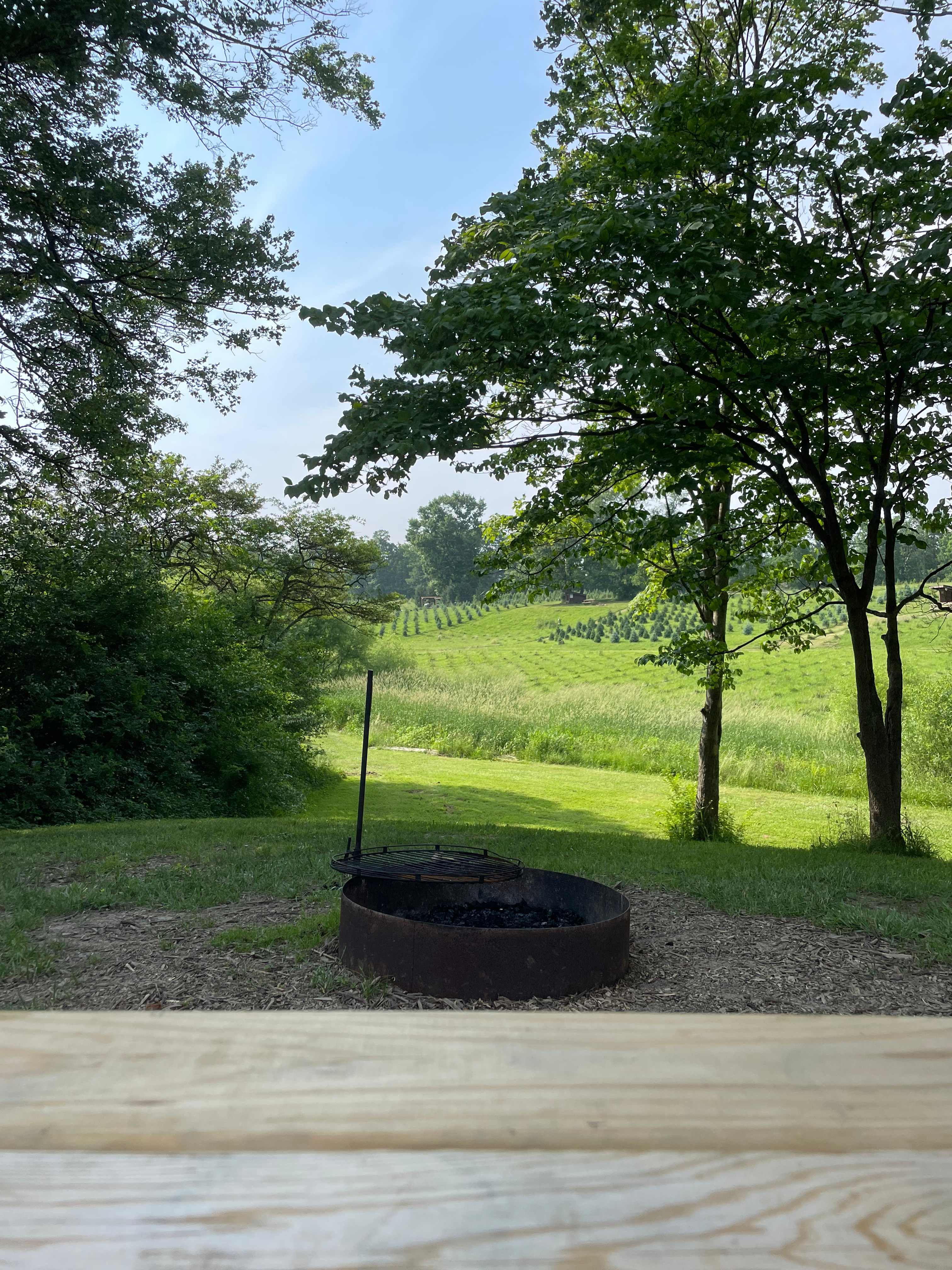 Fire ring! 