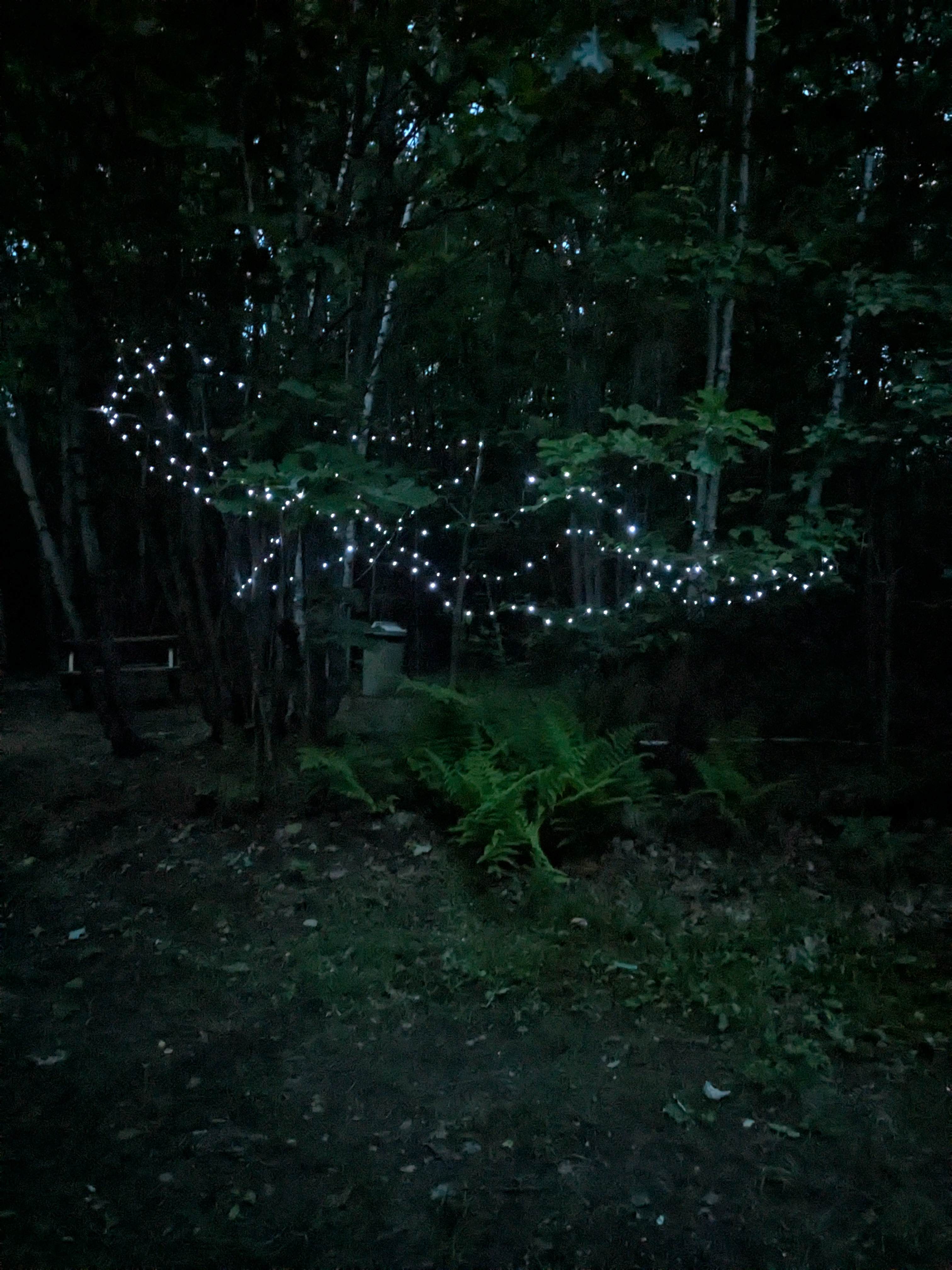 Campers Welcome to The Wolf Swamp.