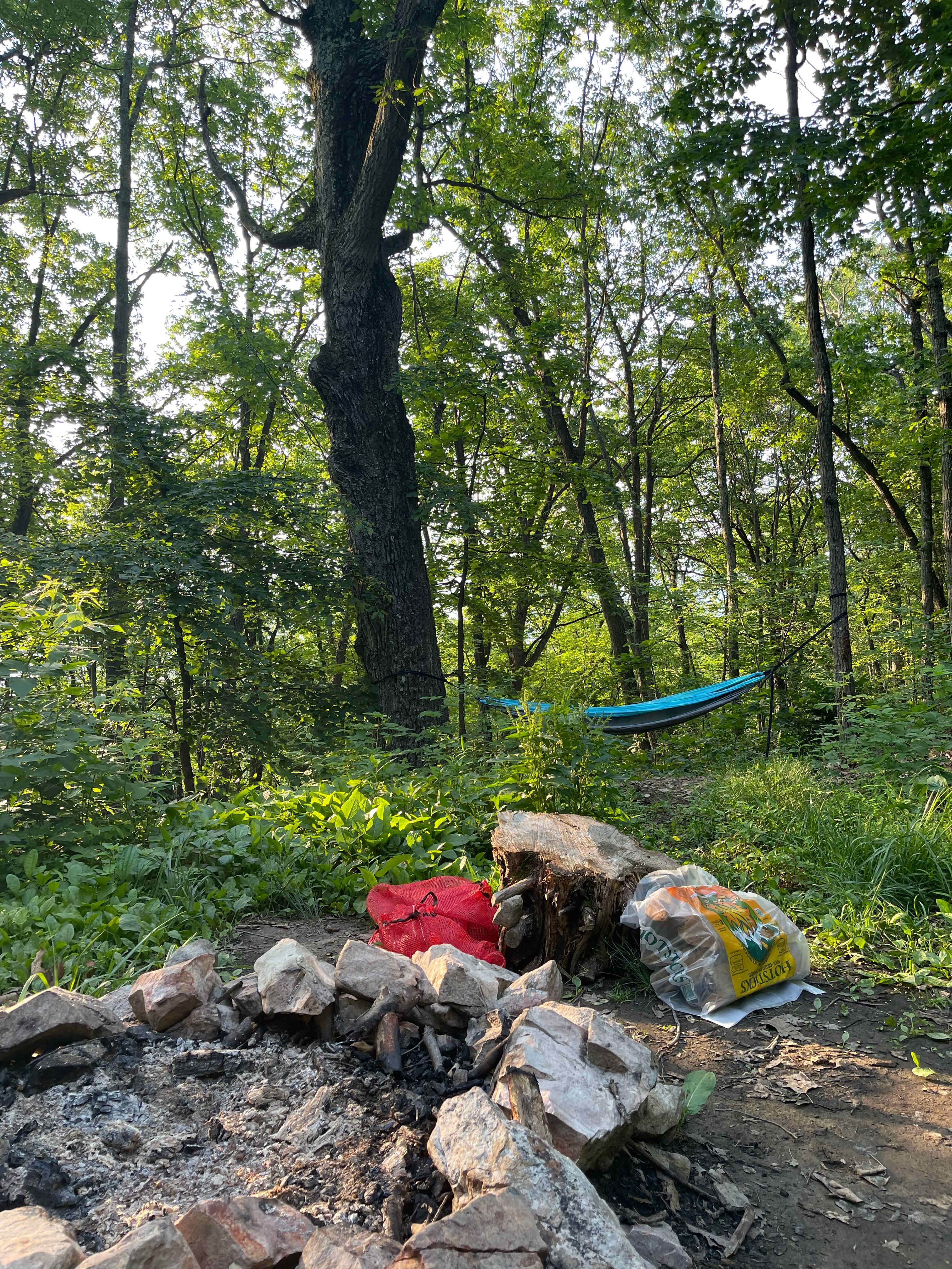 Shenandoah Valley MTN