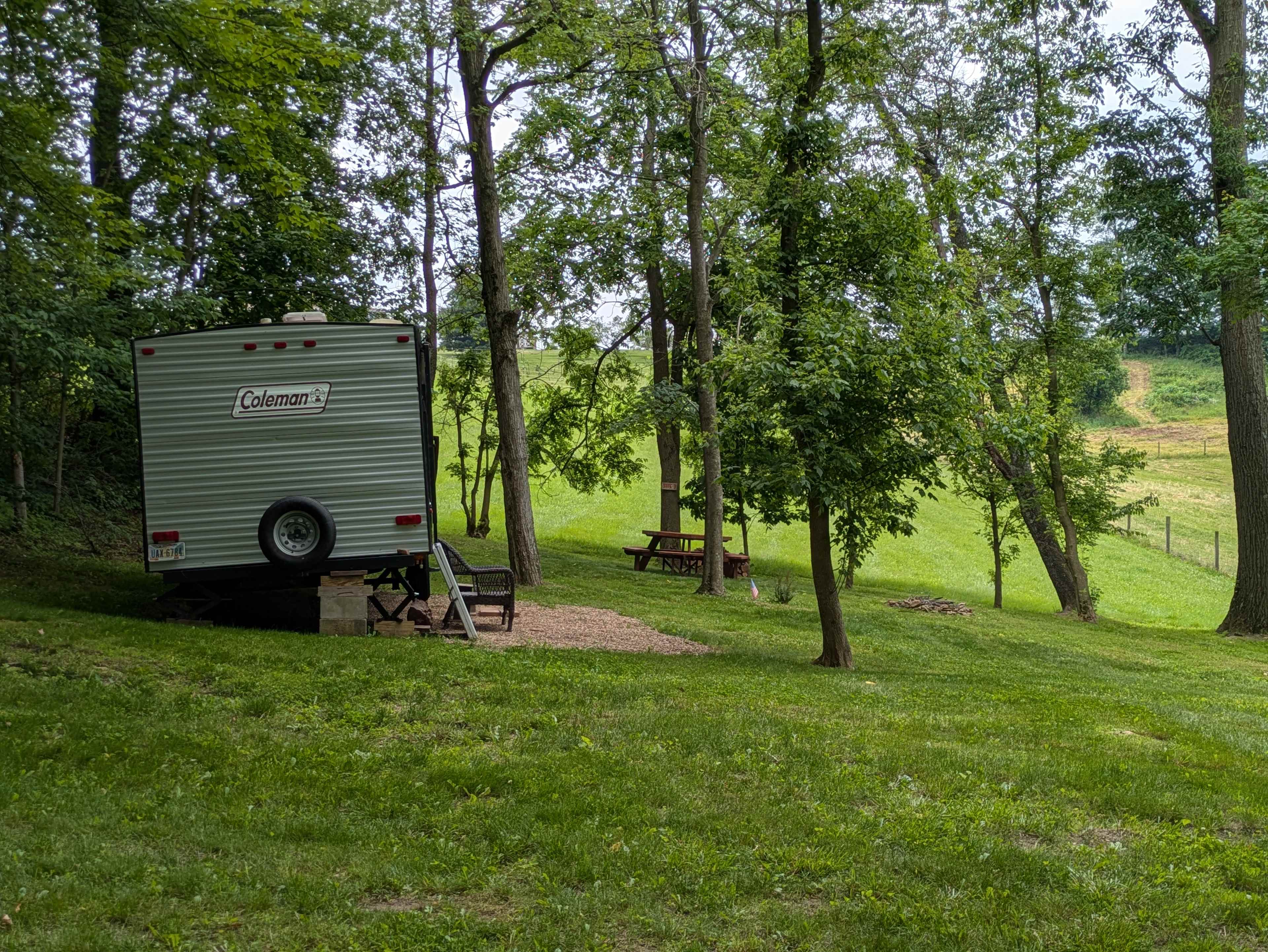 Picture of the site