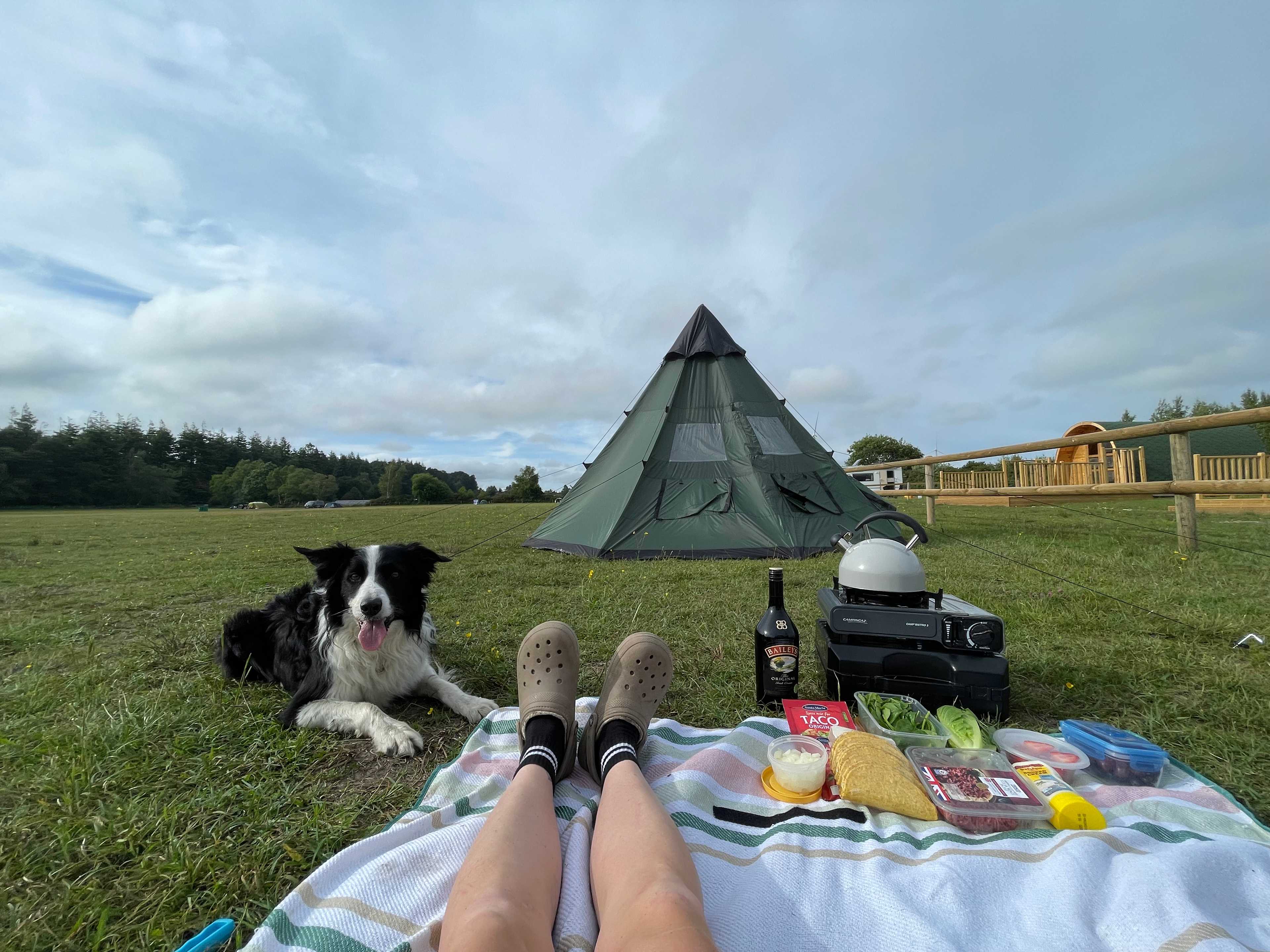 Primrose Fields Campsite
