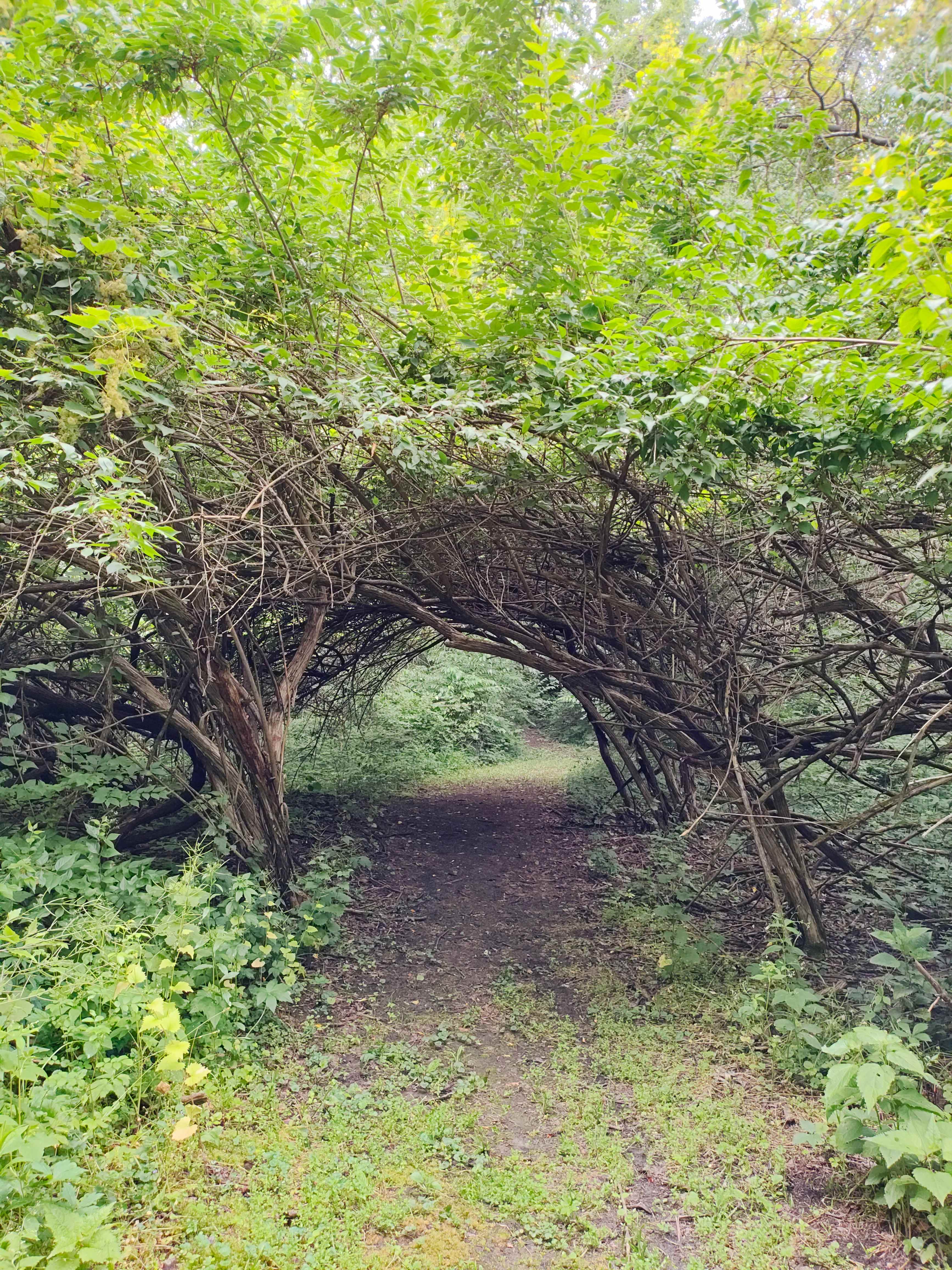 Angel Creek