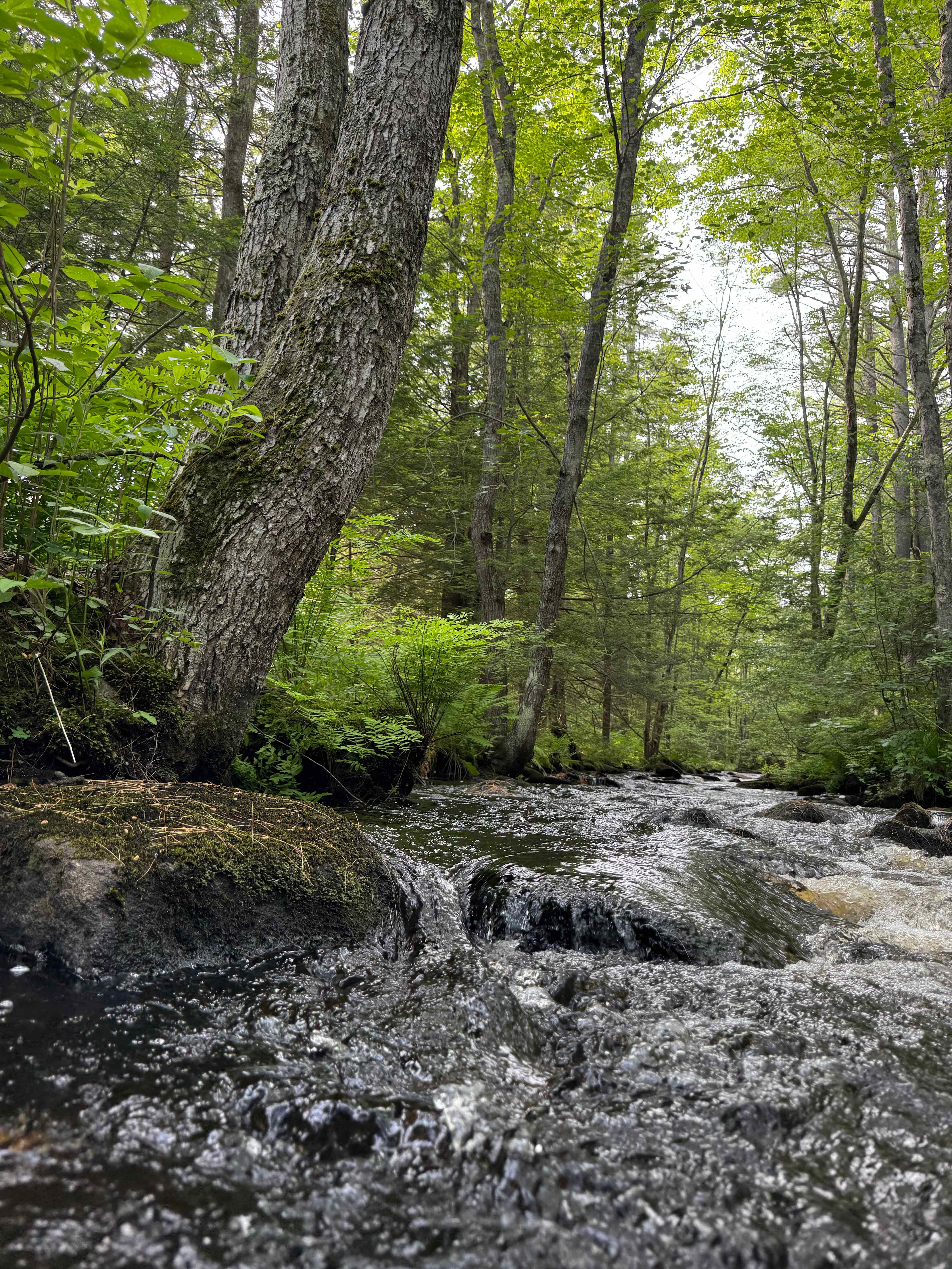 Boulder Brook