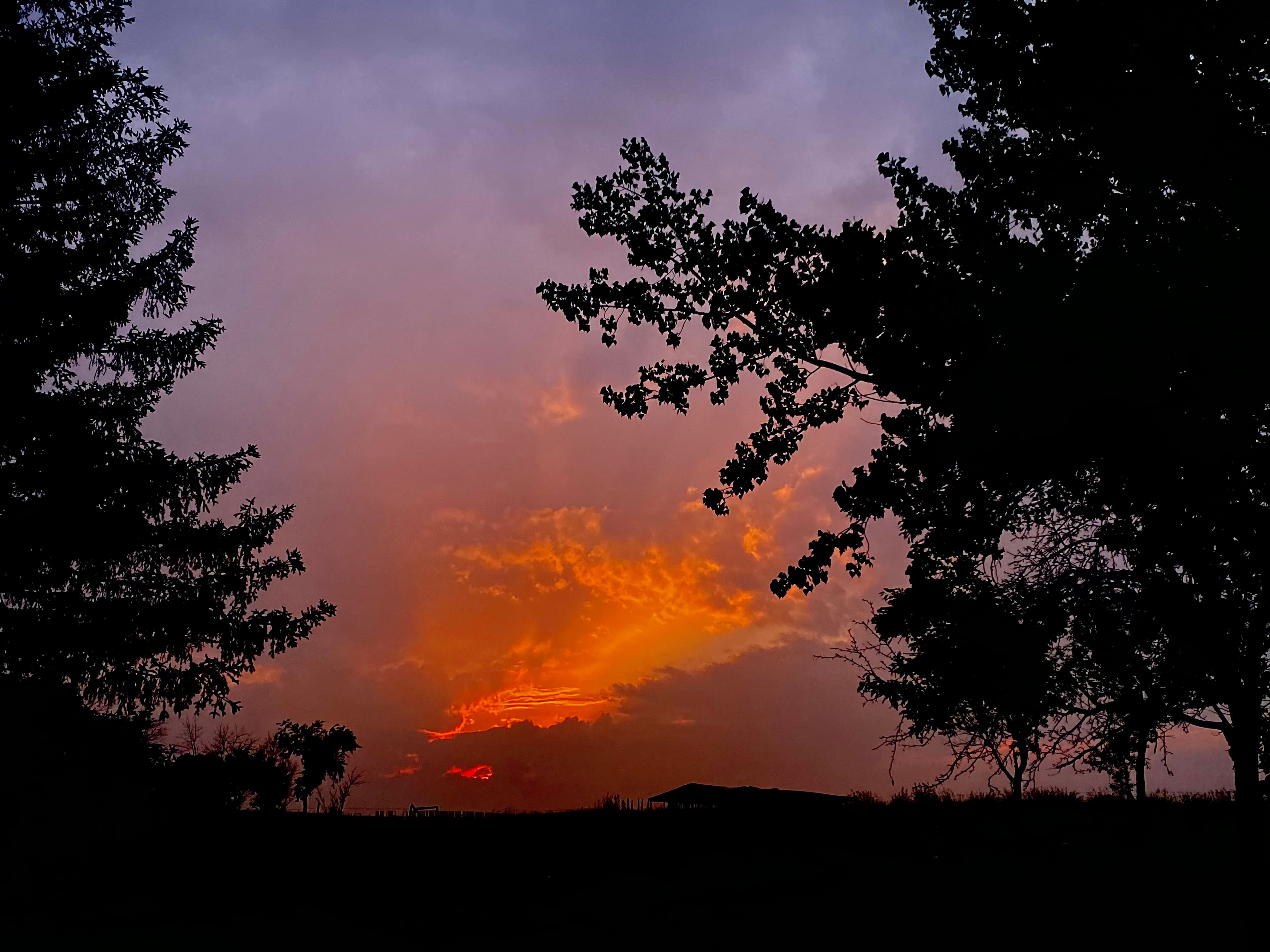Blue Rein Ranch