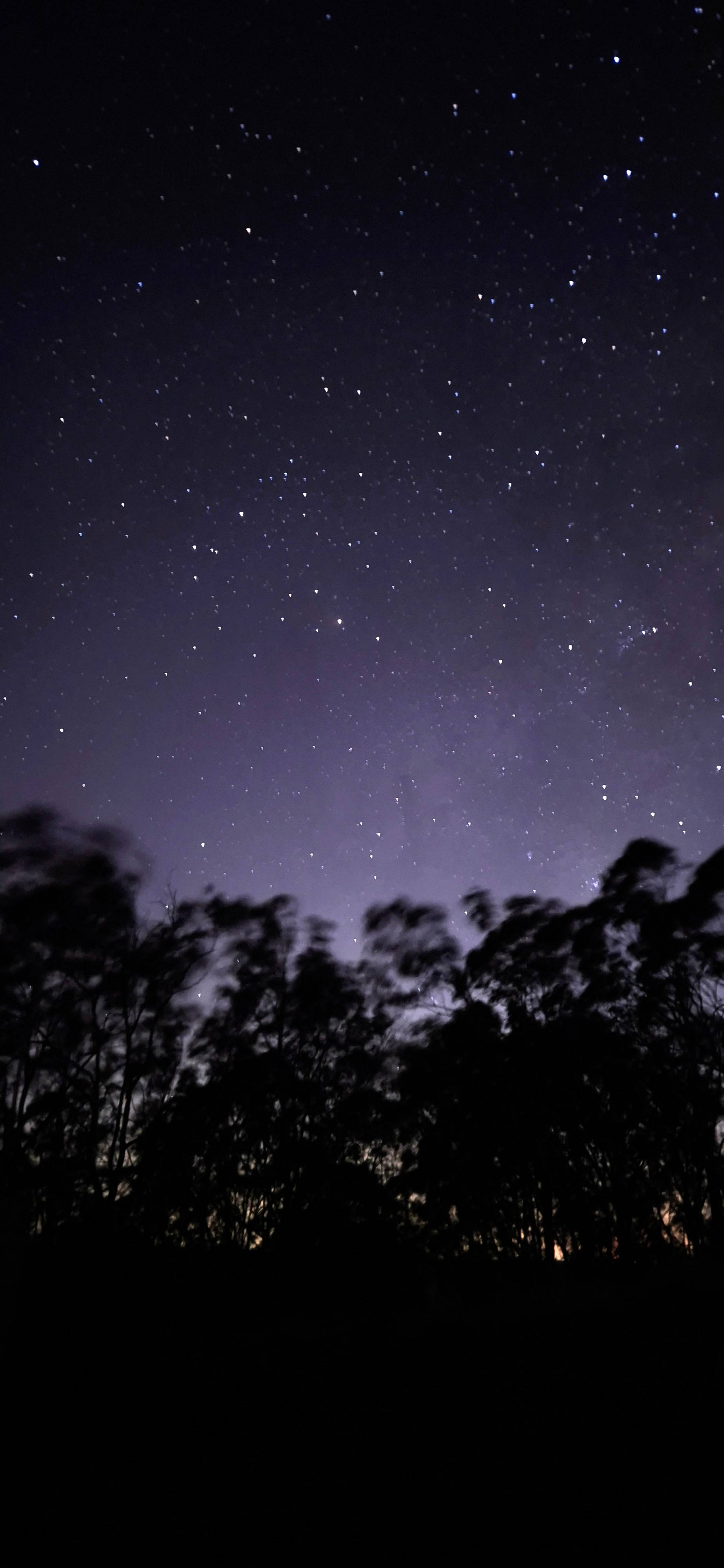 Hilltop Farm, Camping and Glamping.