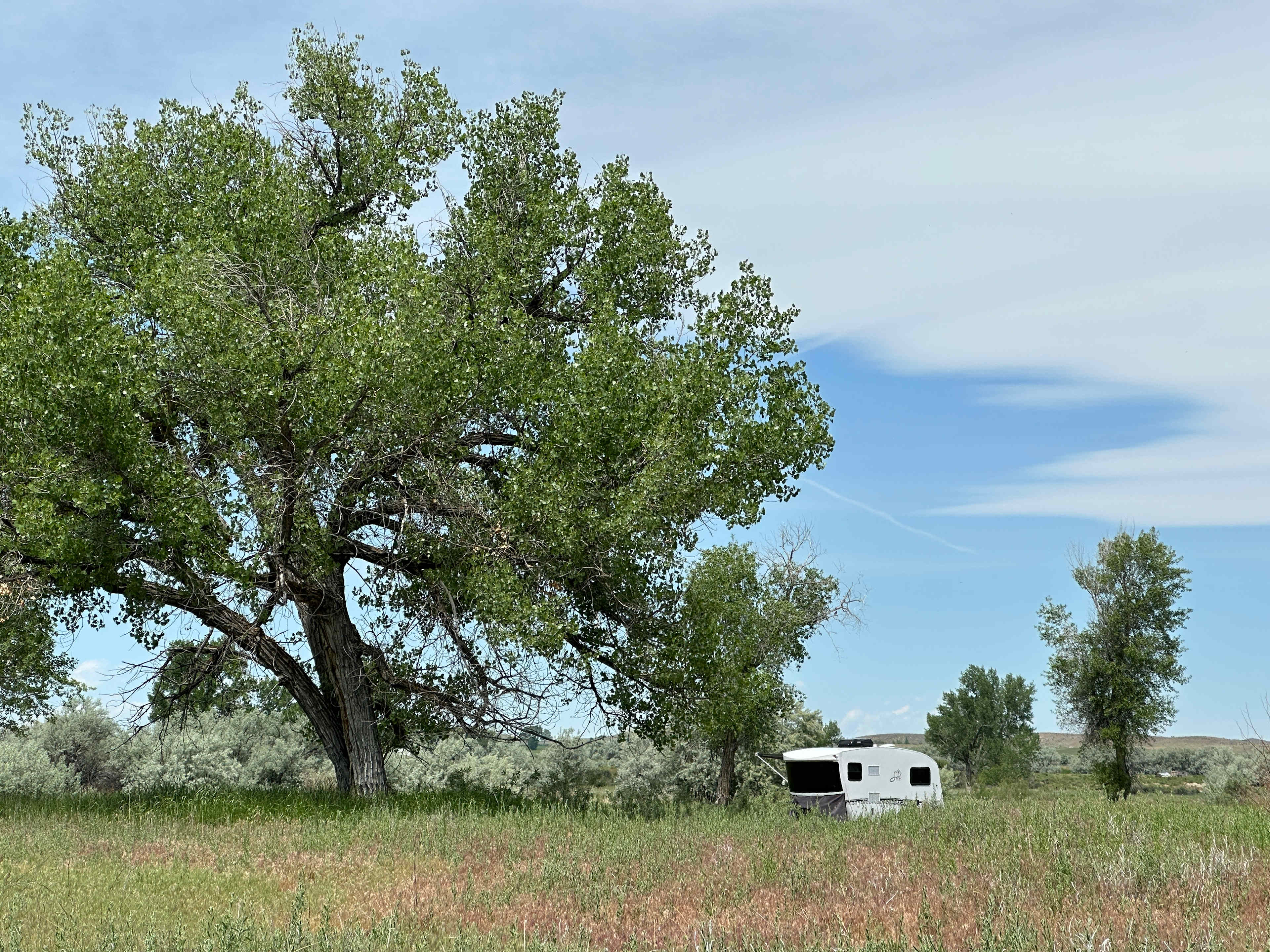 River View Camp