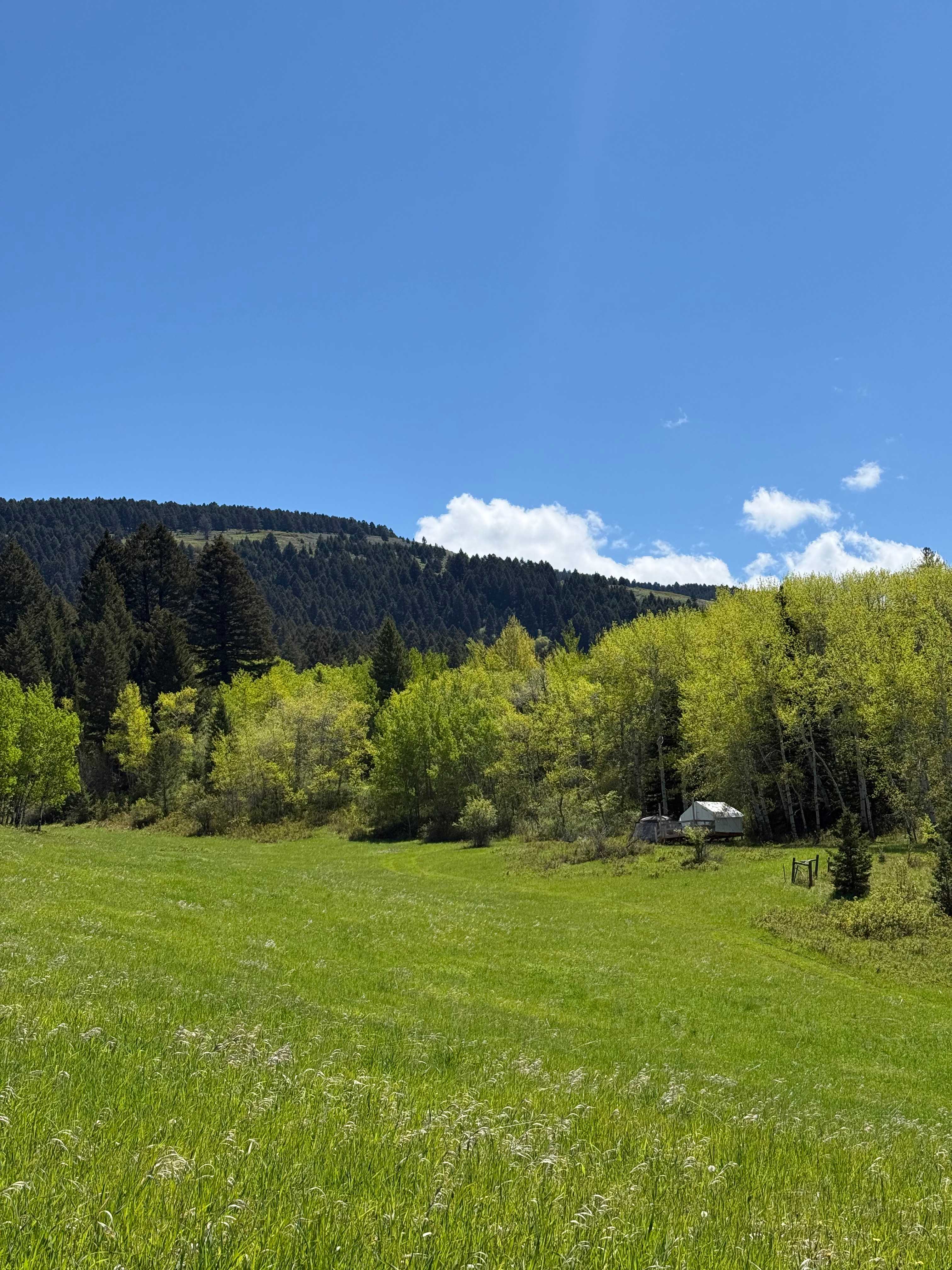 Bear Canyon Bliss
